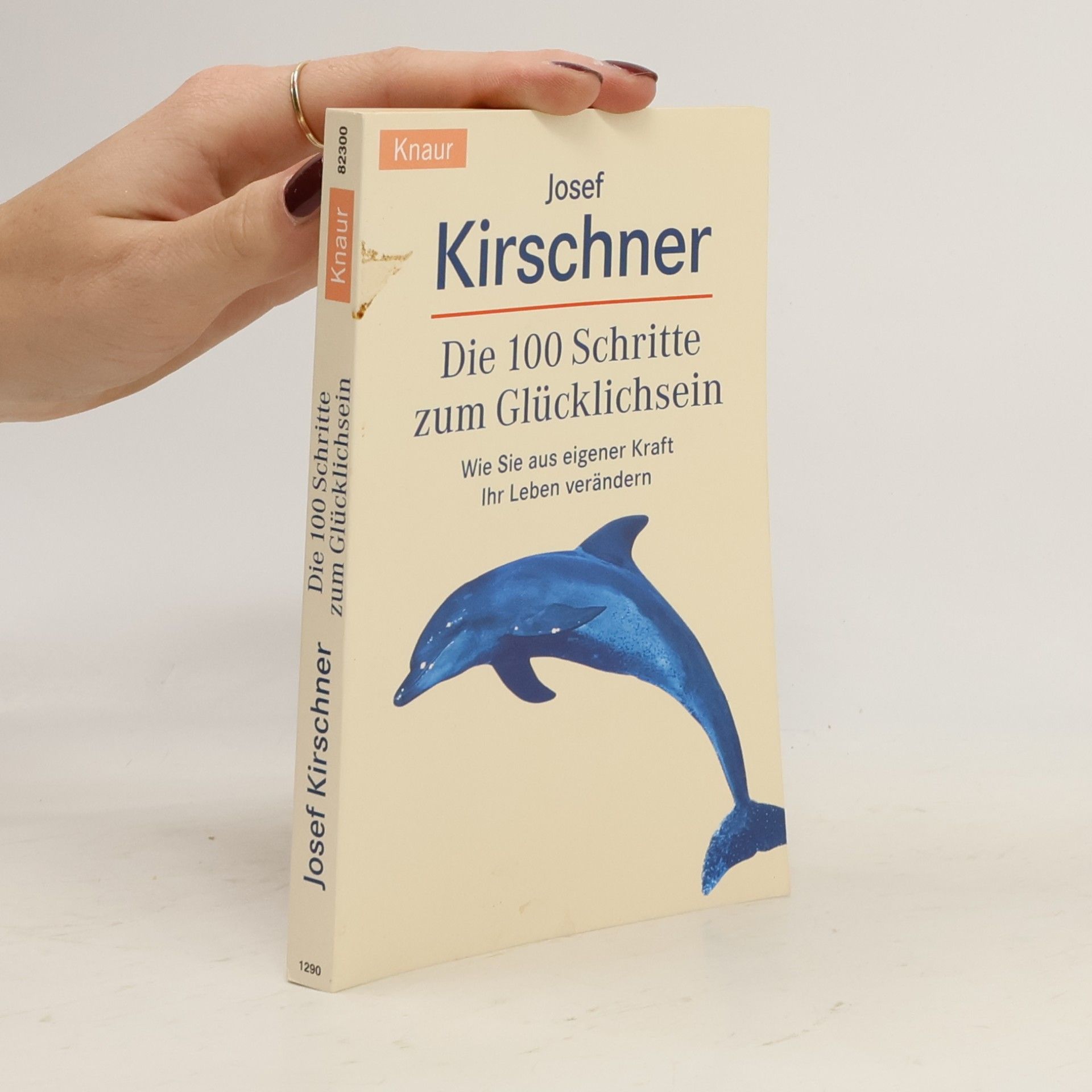 Die 100 Schritte zum Glücklichsein