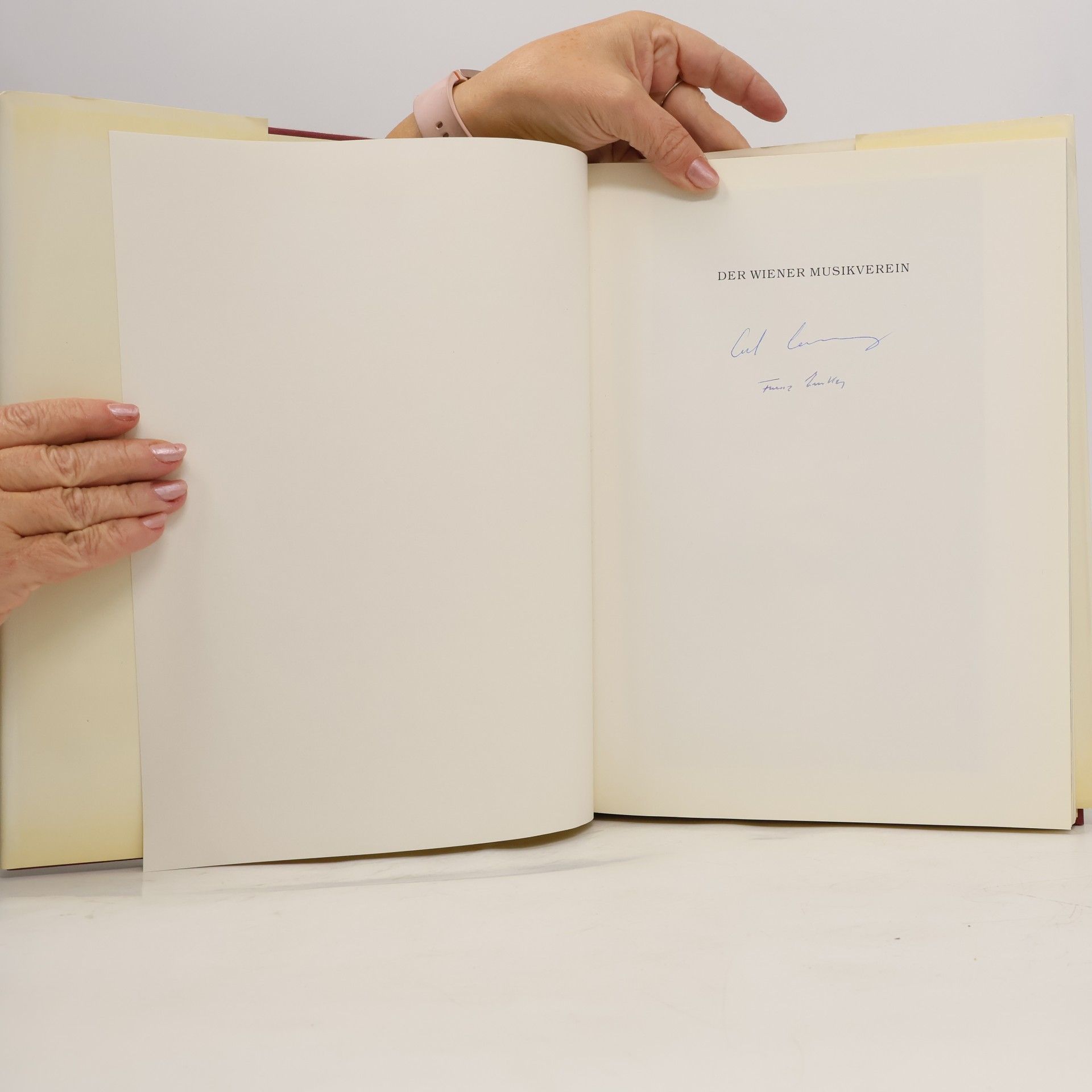 Erich Lessing Der Wiener Musikverein