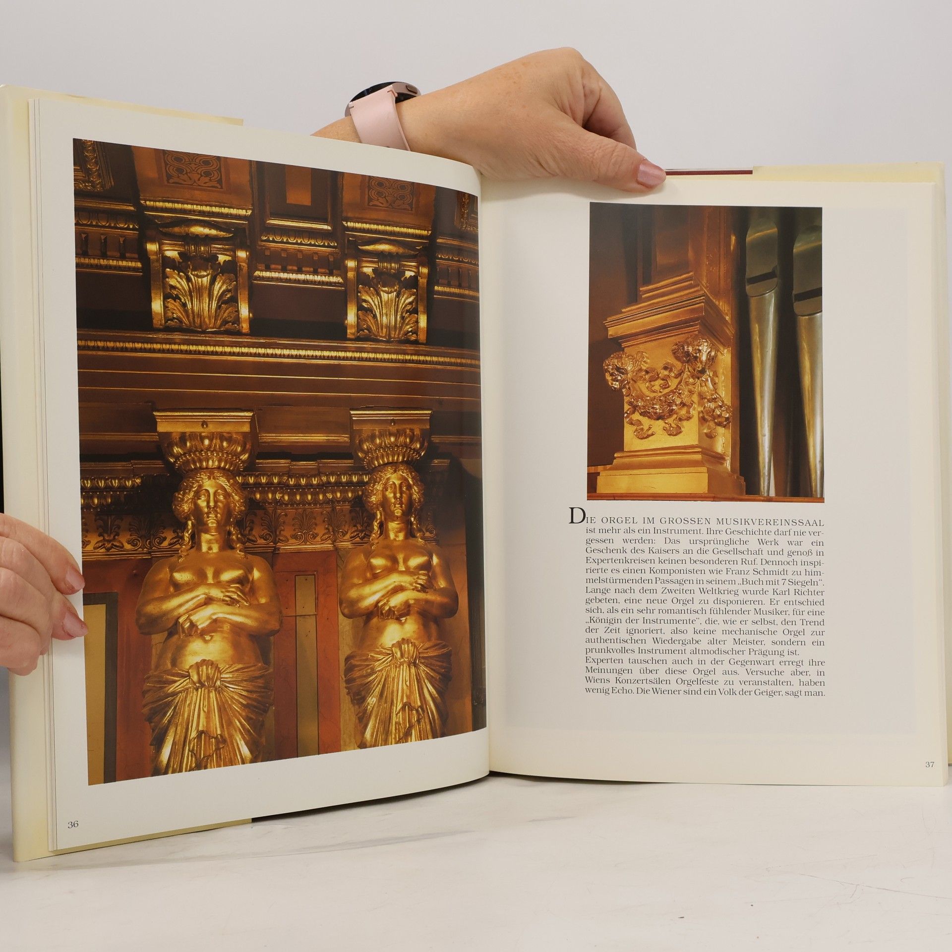 Erich Lessing Der Wiener Musikverein