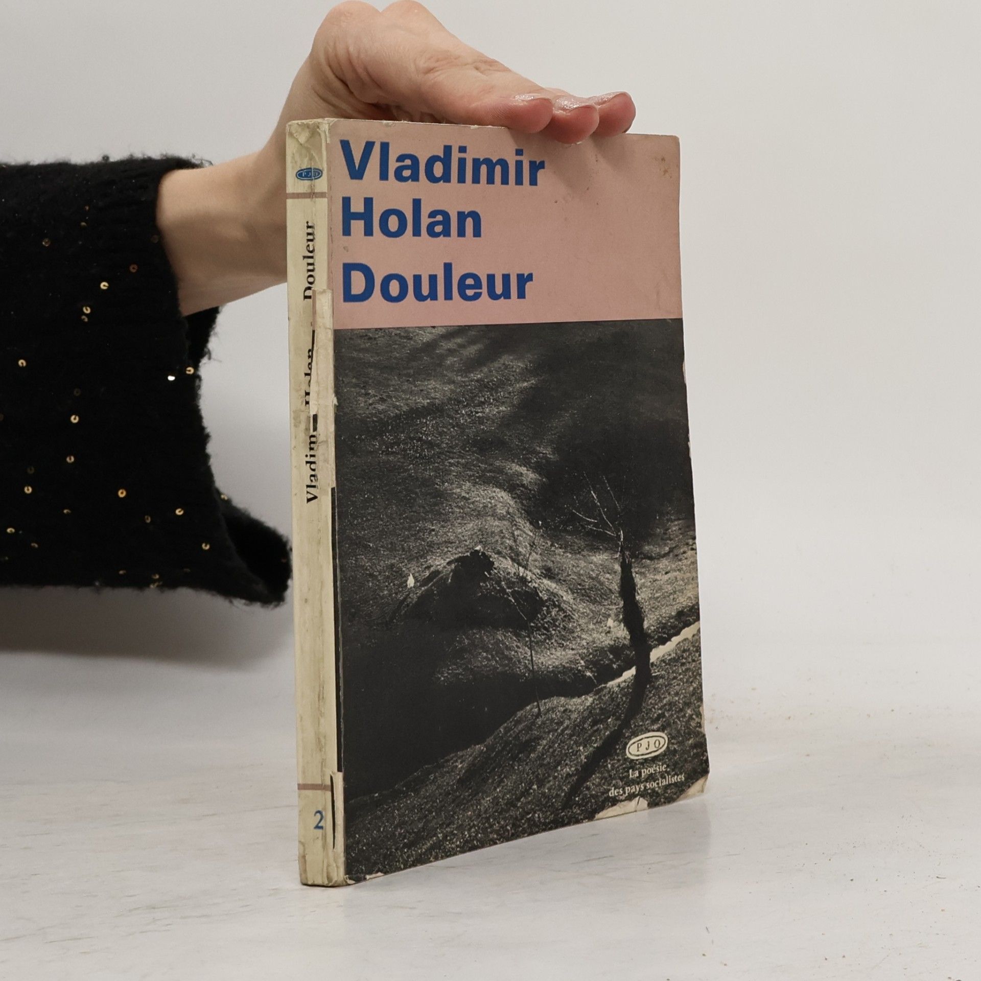 Vladimír Holan Douleur