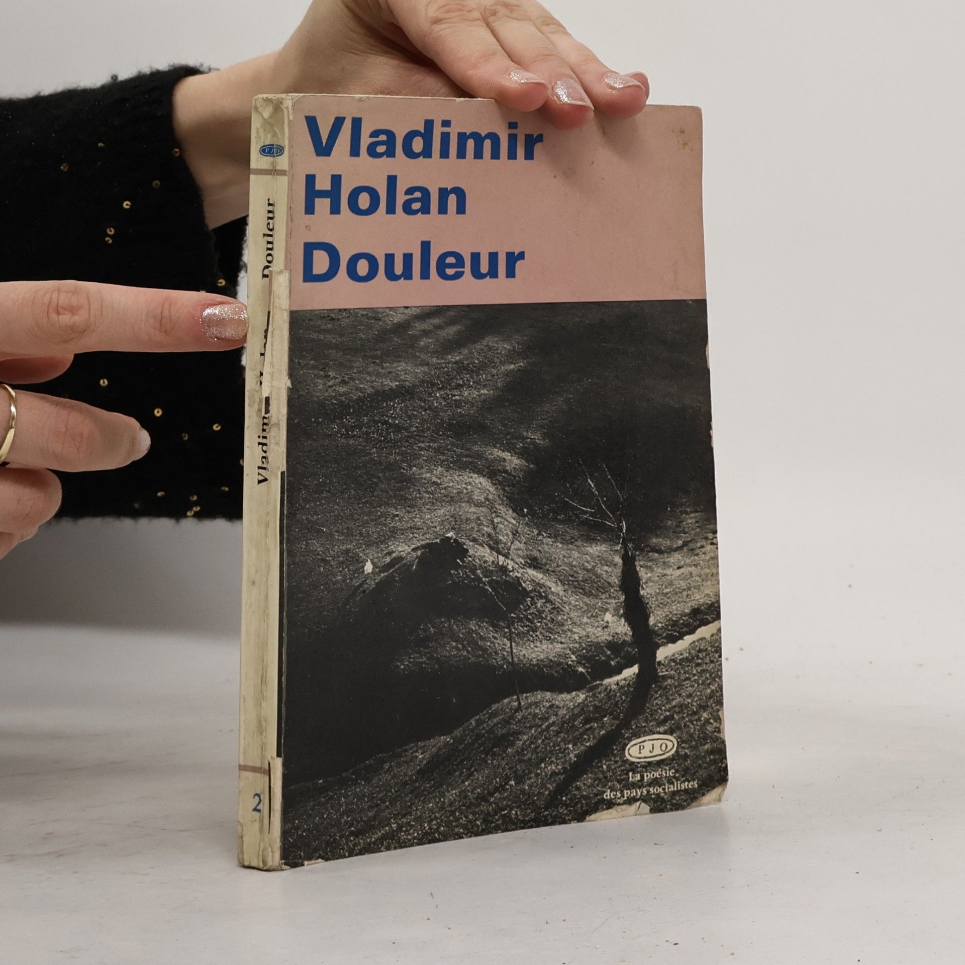 Vladimír Holan Douleur