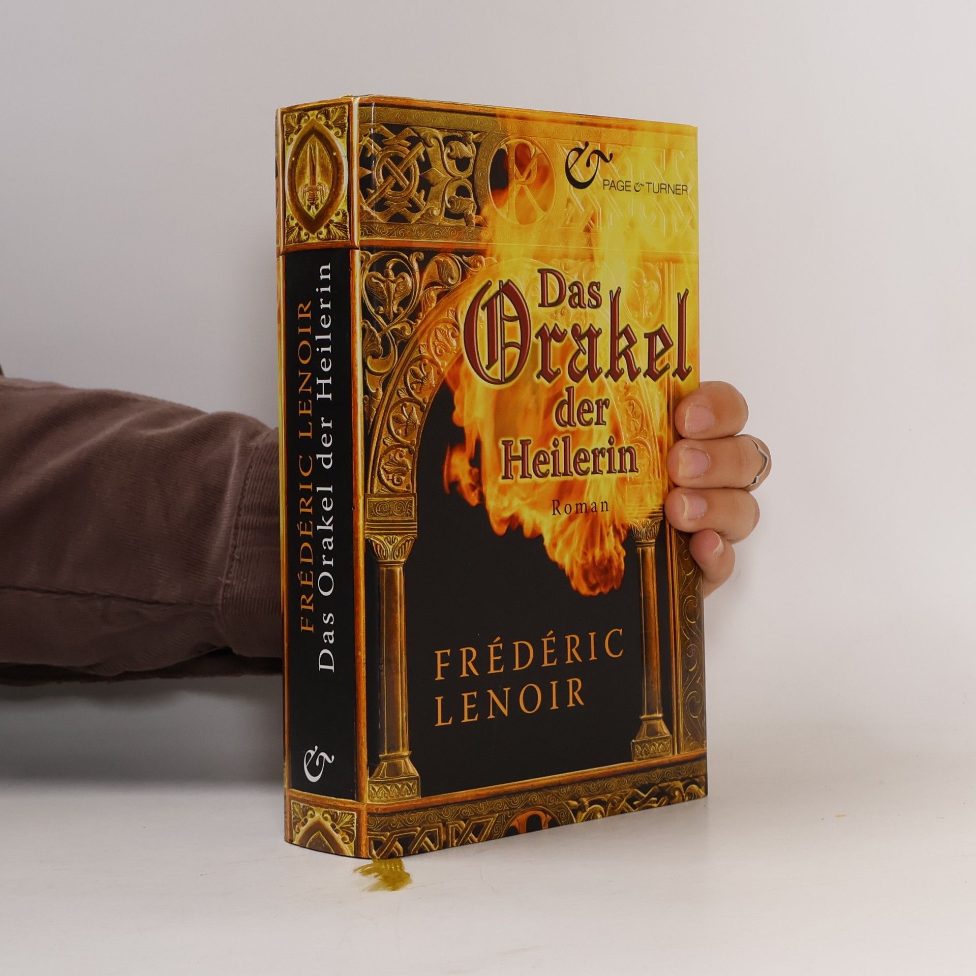 Frédéric Lenoir Das Orakel der Heilerin
