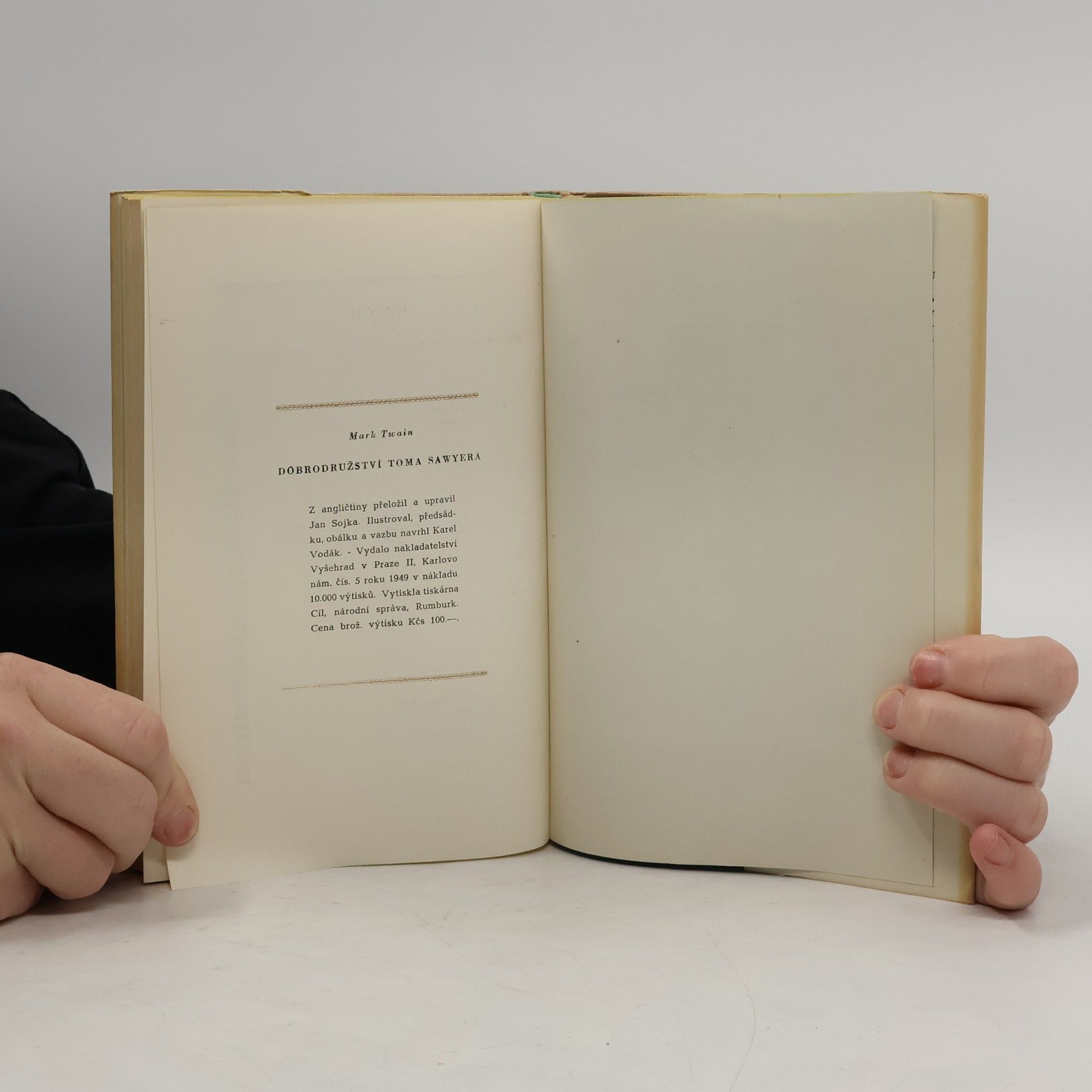 Mark Twain Dobrodružství Toma Sawyera