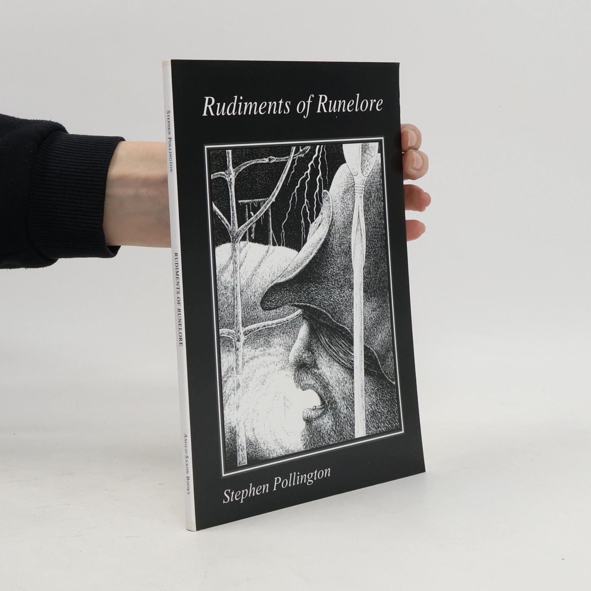 Stephen Pollington Rudiments of Runelore