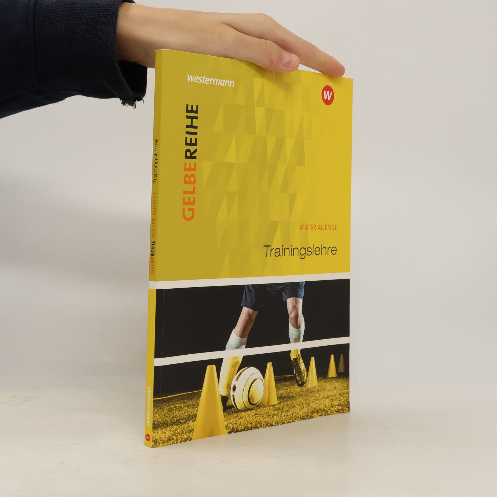 Autorenkollektiv Gelbe Reihe: Trainingslehre. Materialien für den Sekundarbereich 2