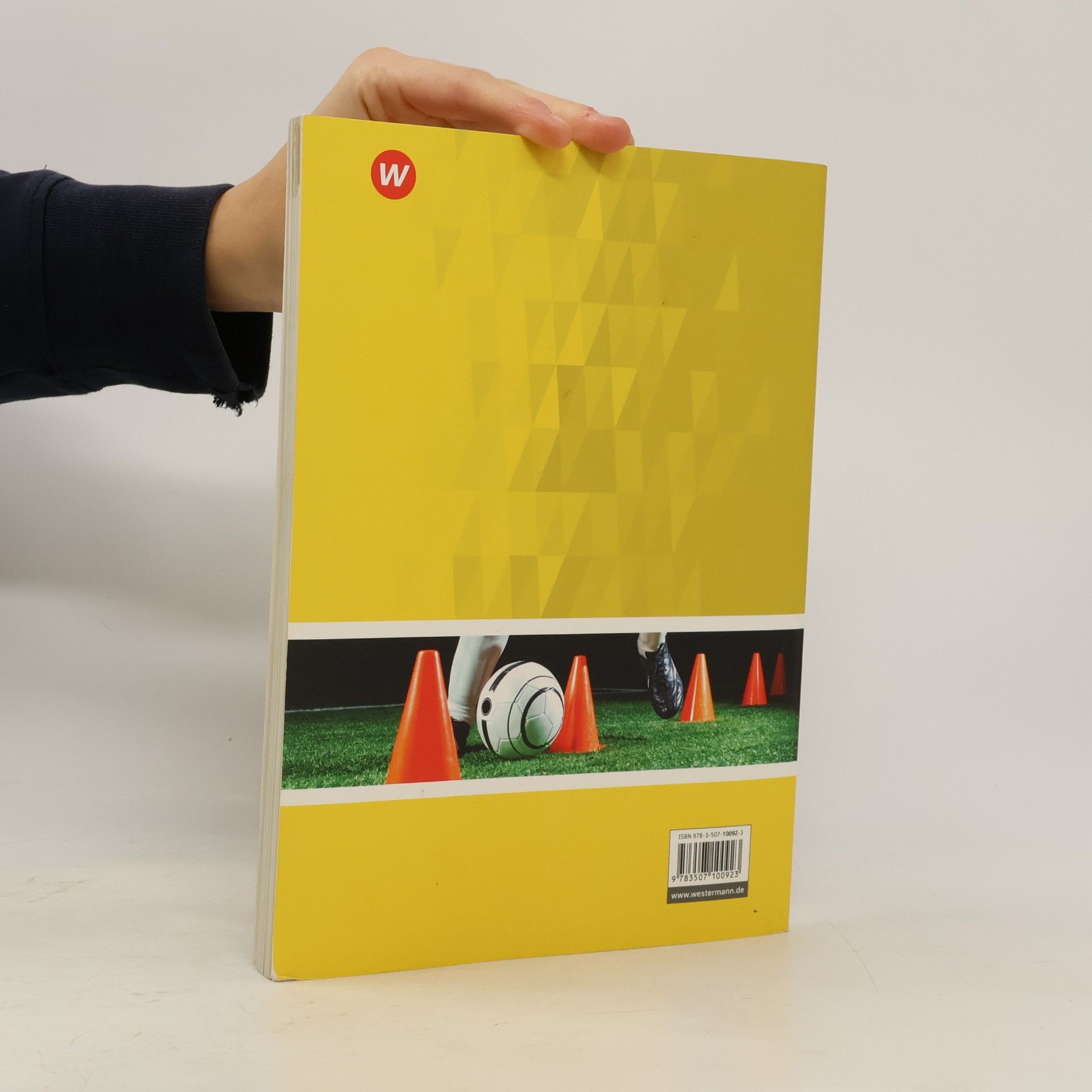 Gelbe Reihe: Trainingslehre. Materialien für den Sekundarbereich 2
