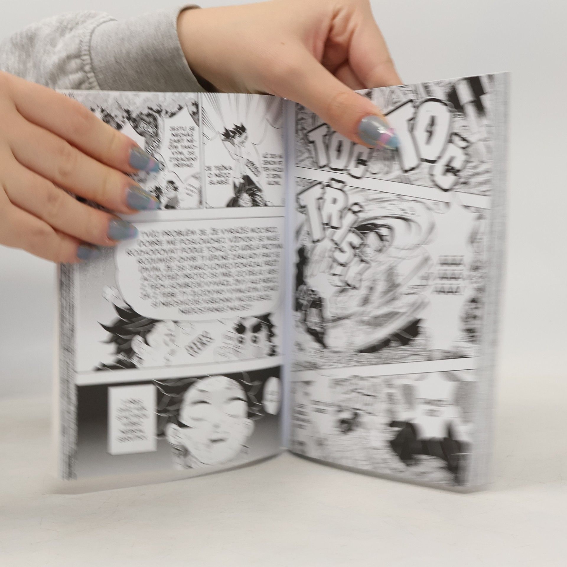 Koyoharu Gotōge Zabiják démonů 12. Sněm vyšších Měsíců