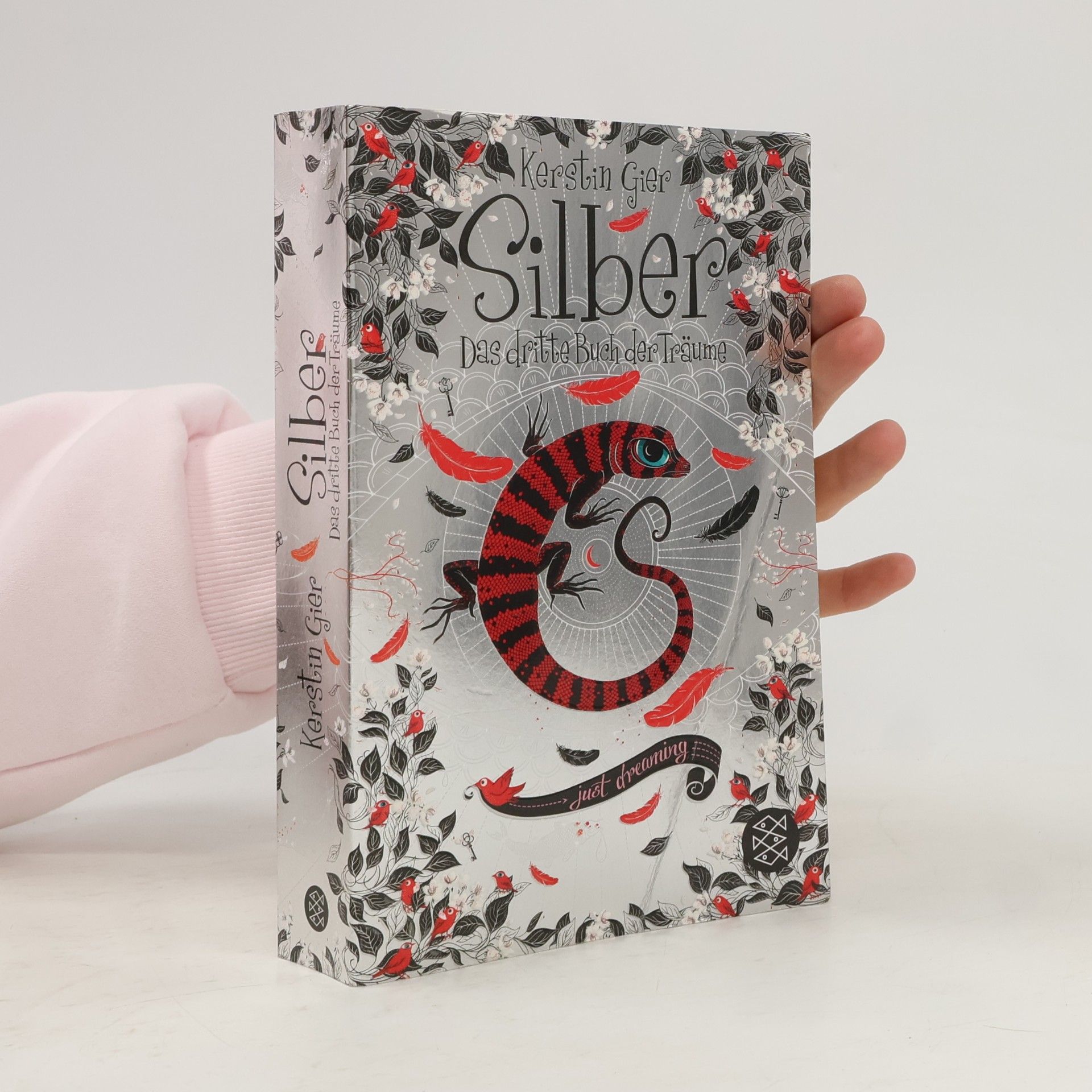 Kerstin Gier Silber: Das dritte Buch der Träume
