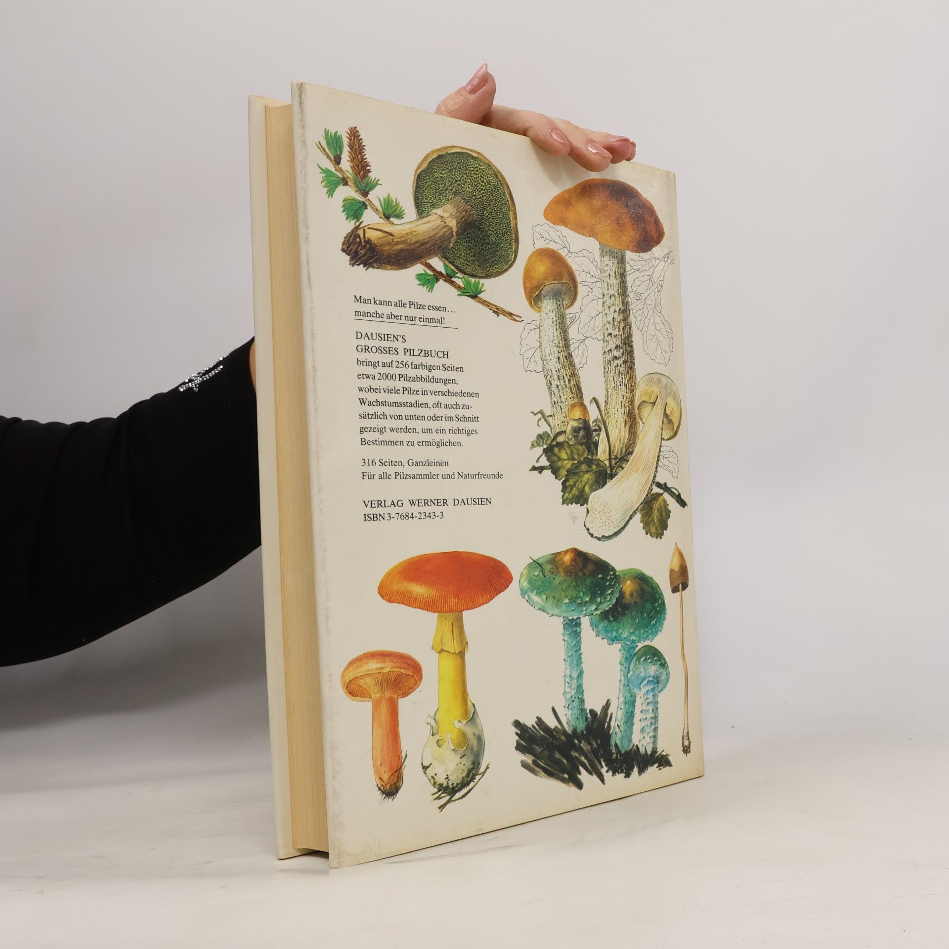 Mirko Svrček Das grosse Pilzbuch