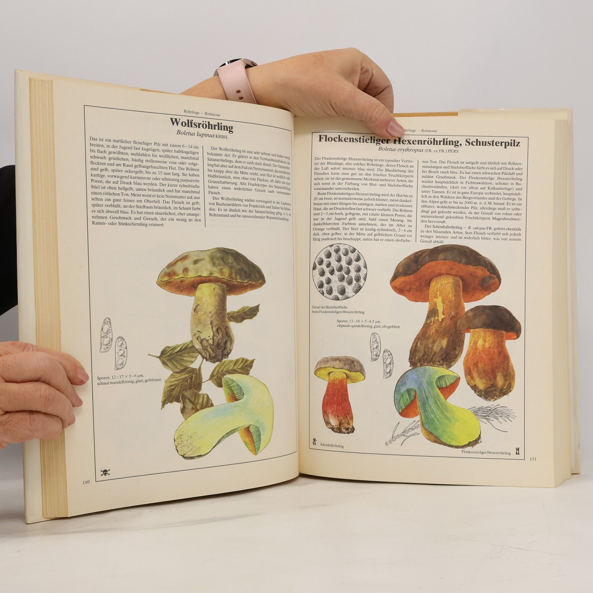 Mirko Svrček Das grosse Pilzbuch