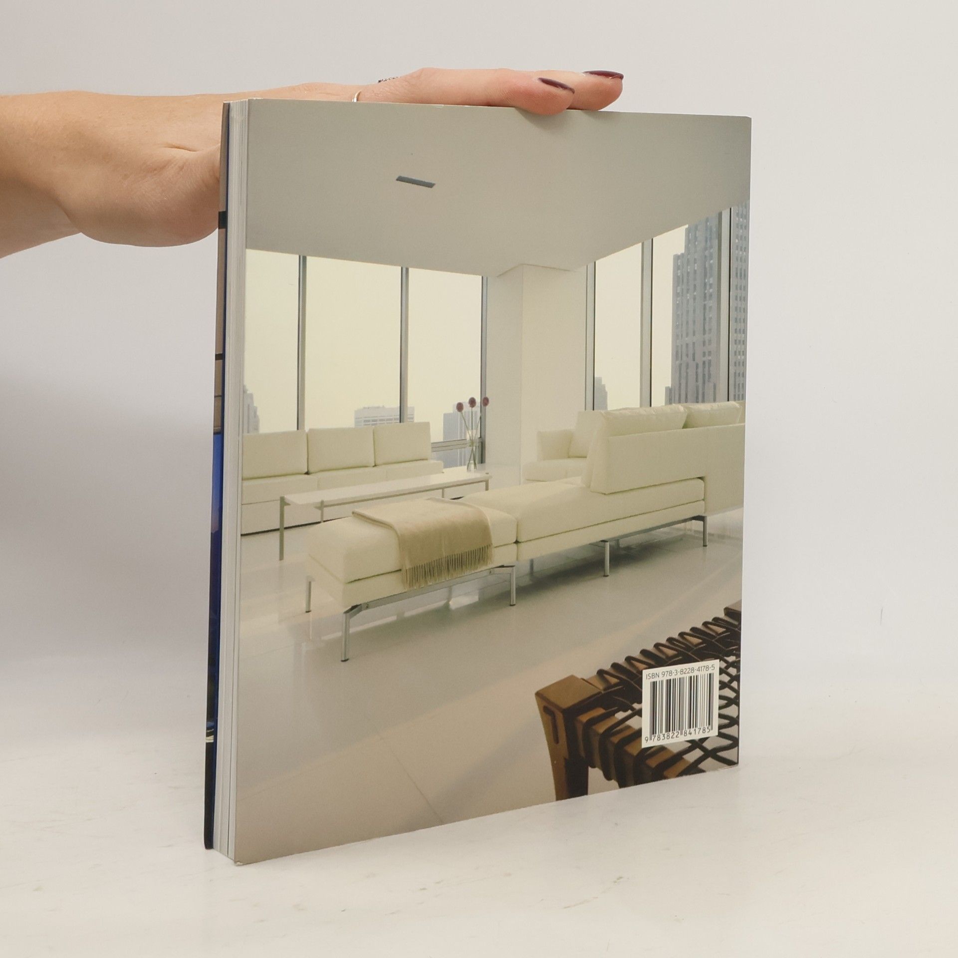 Simone Schleifer Small apartments = Kleine Appartements = Petits appartements