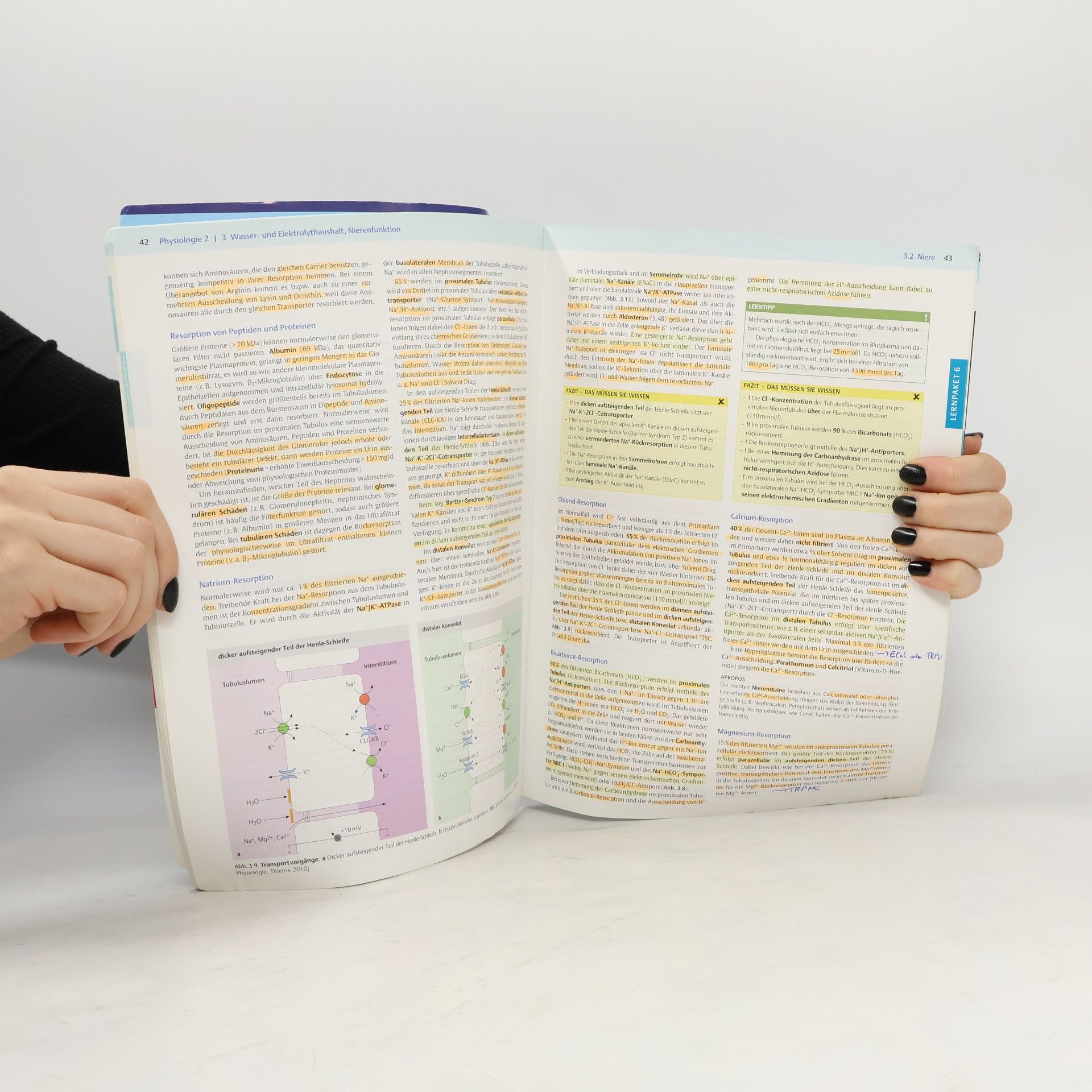 Stuttgart Thieme Physiologie. Tl.2