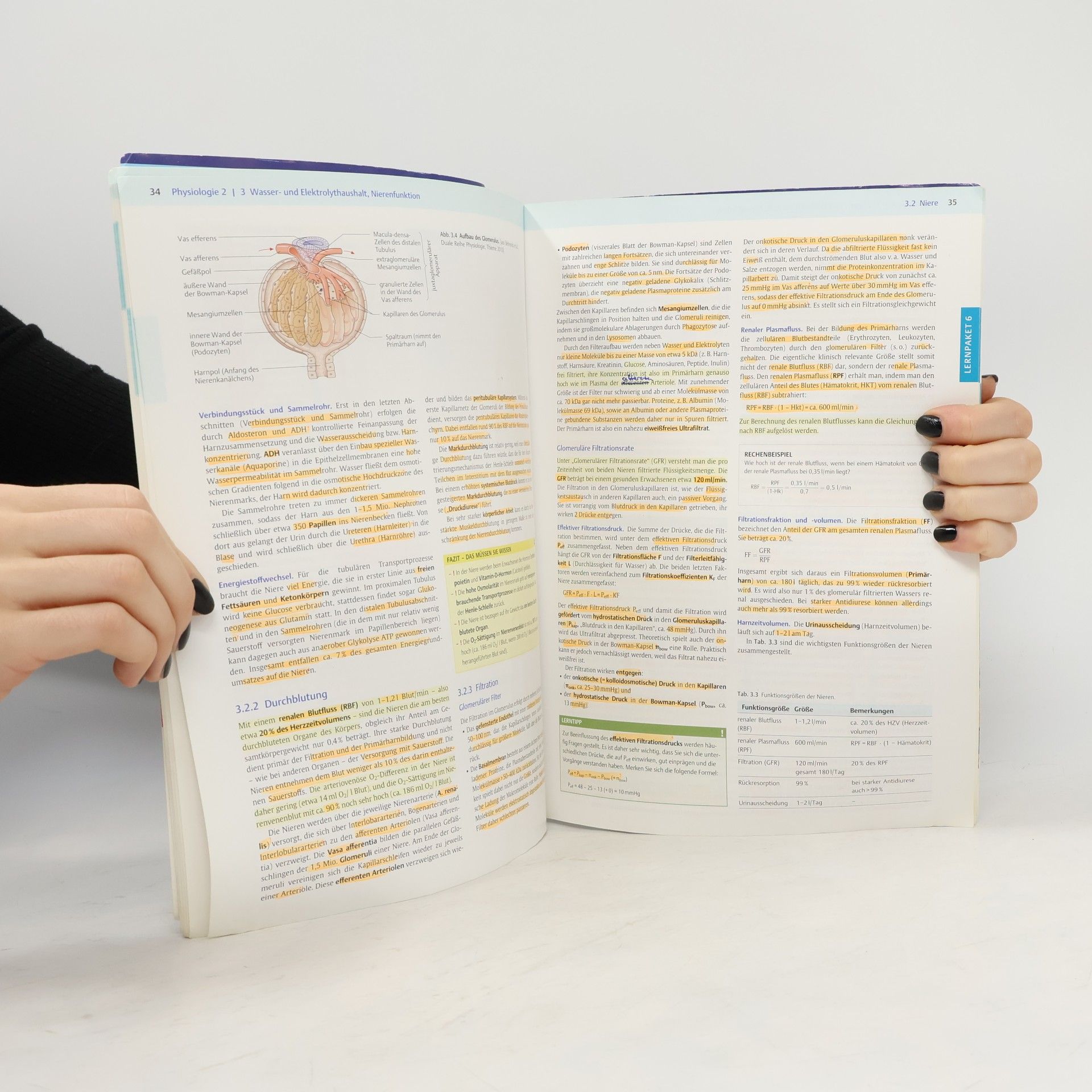 Stuttgart Thieme Physiologie. Tl.2
