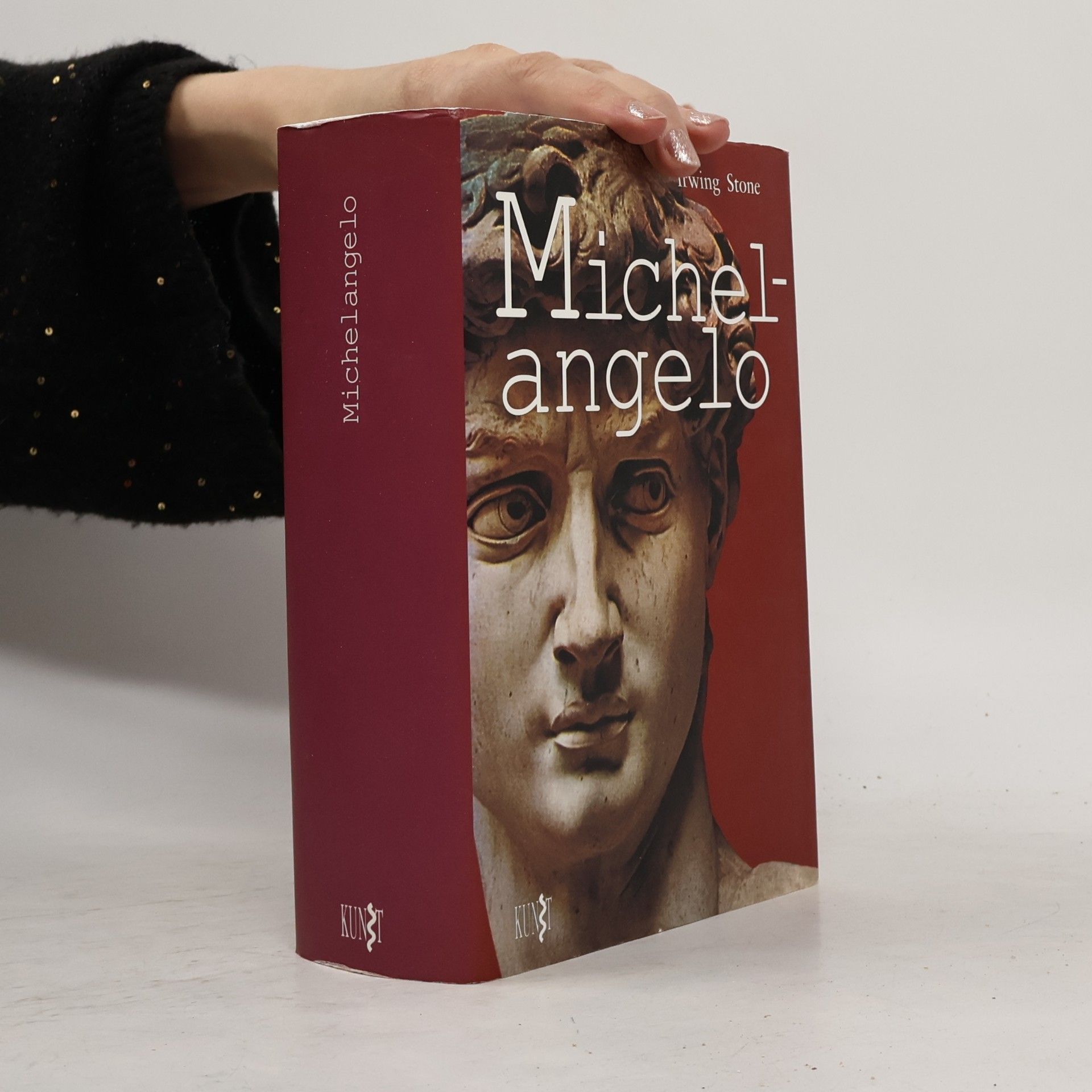 Irving Stone Michelangelo
