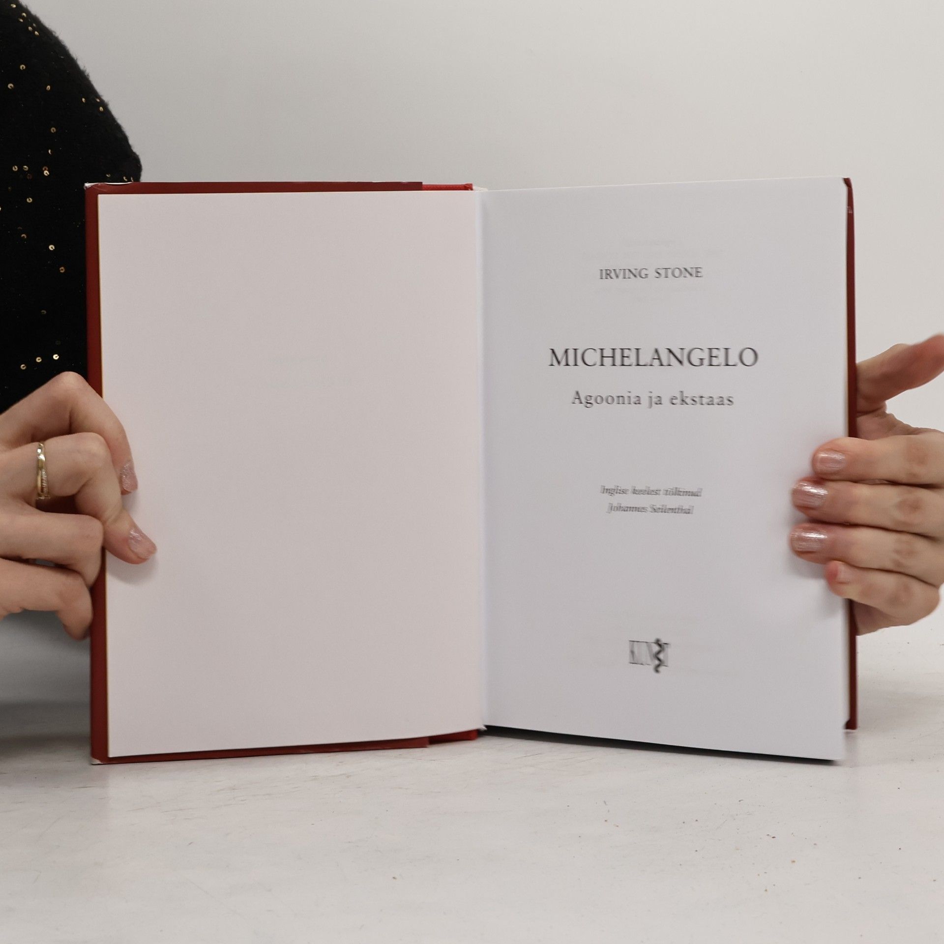 Irving Stone Michelangelo