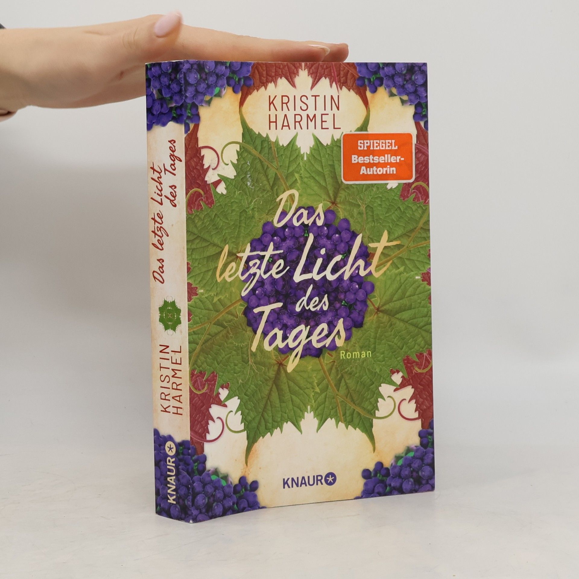 Kristin Harmel Das letzte Licht des Tages