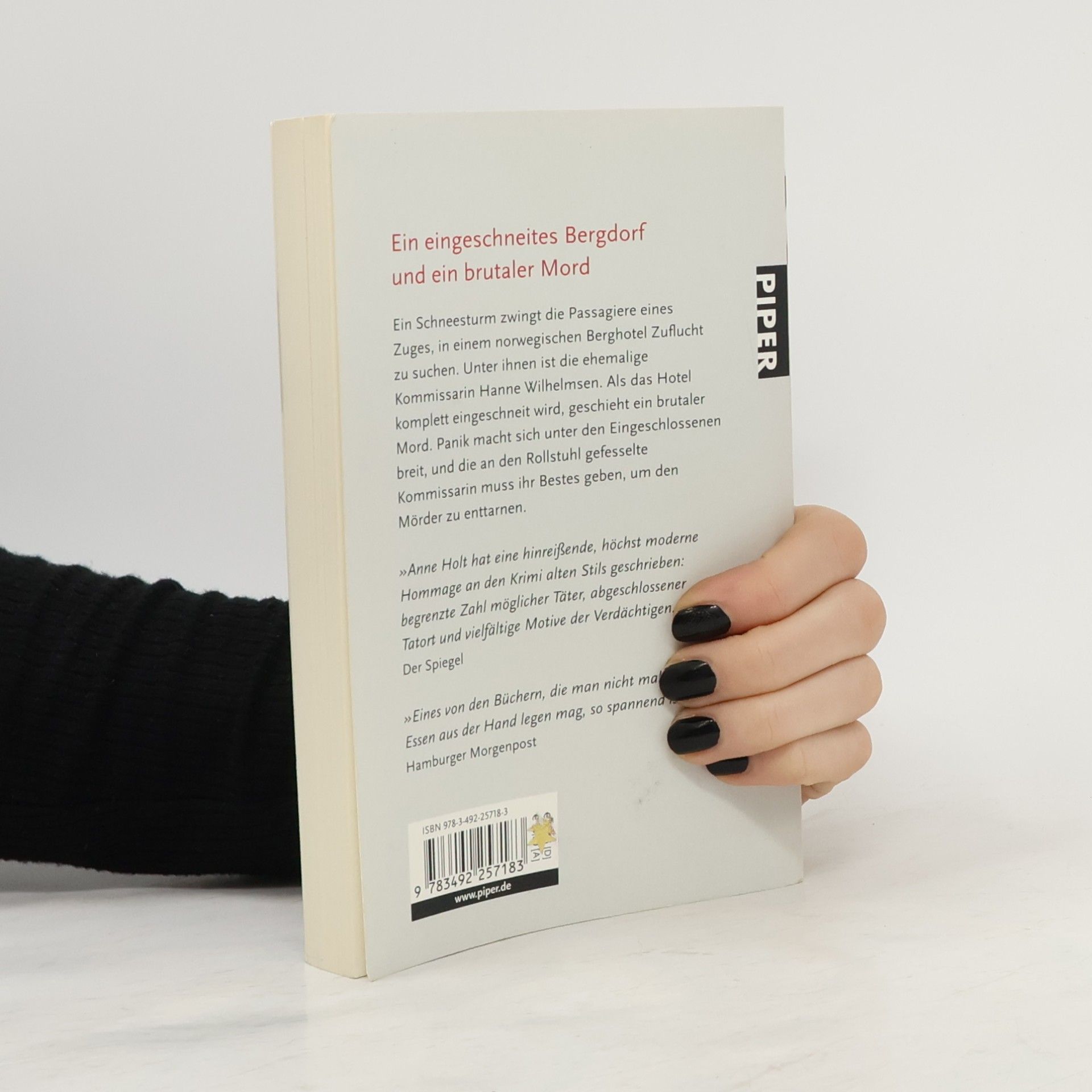 Anne Holt Der norwegische Gast