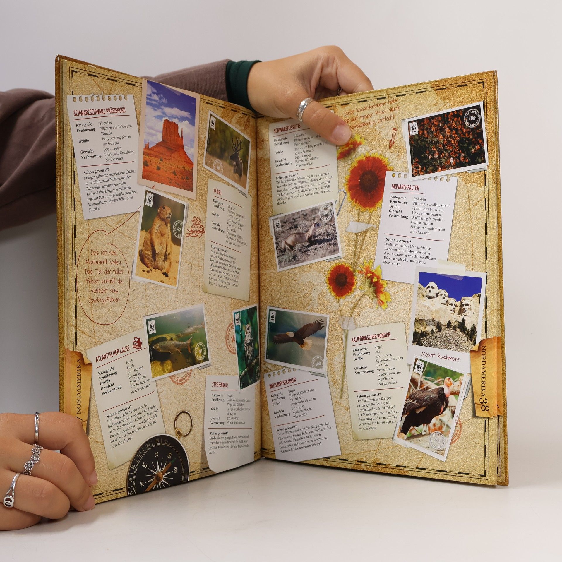 Autorenkollektiv Mein Reisetagebuch 2012