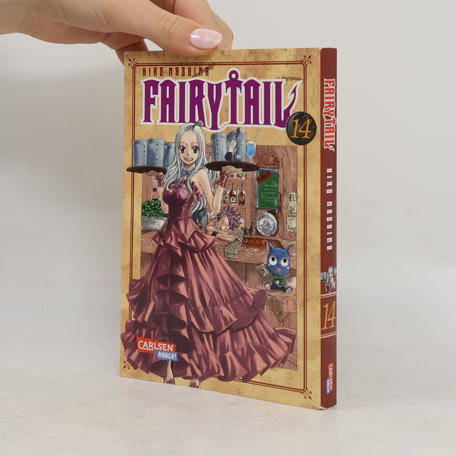Fairy Tail 14