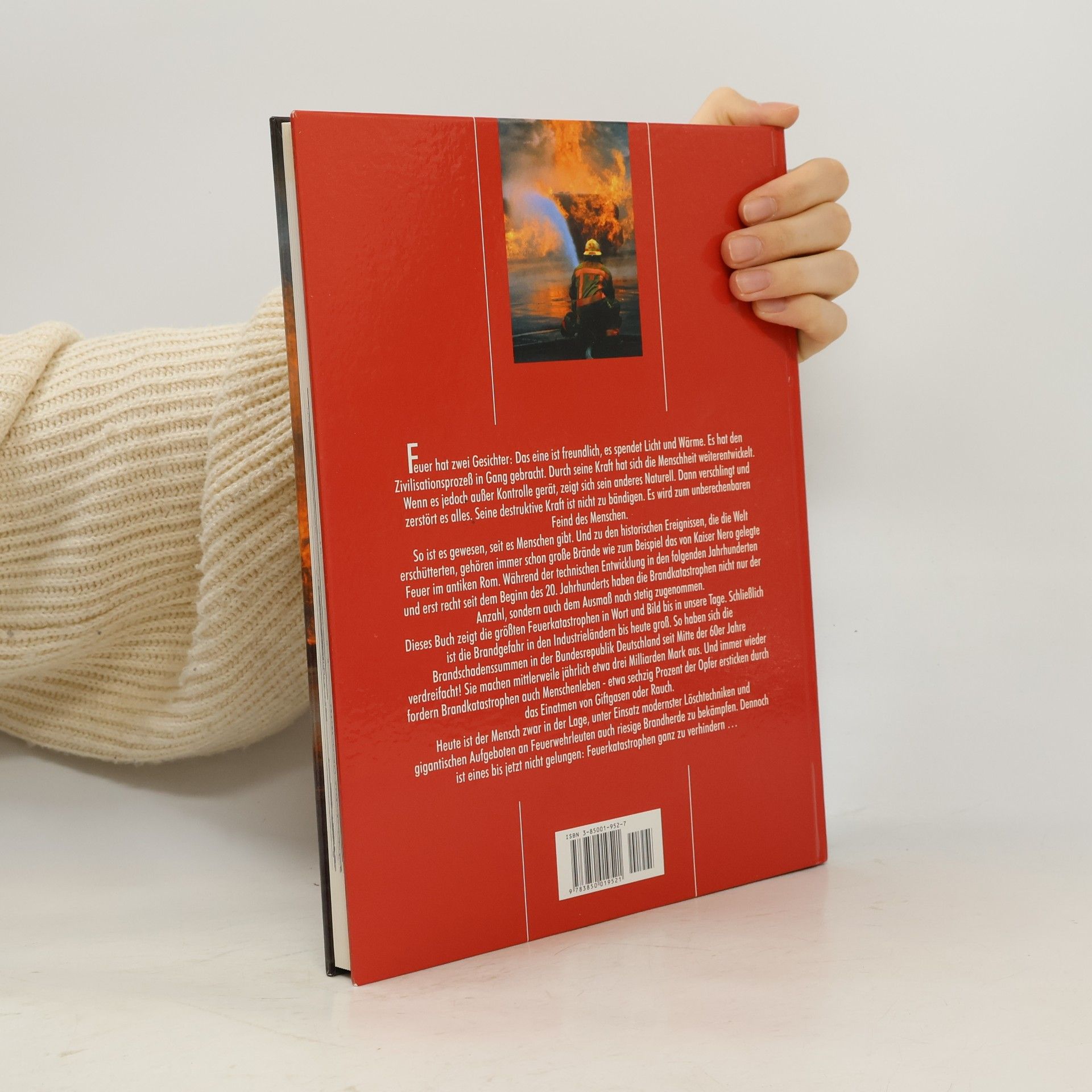 Silke Flemmer Brandkatastrophen