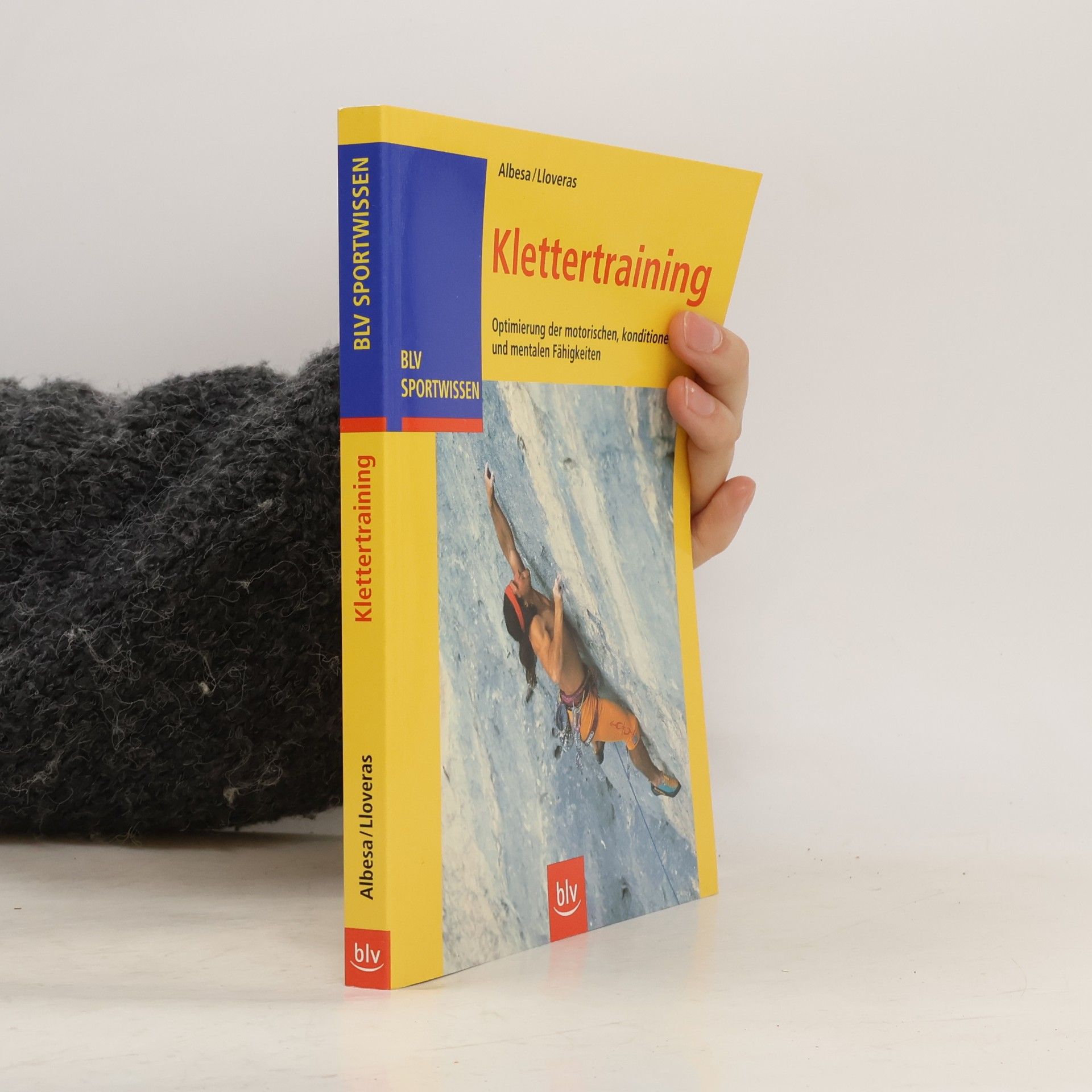 Klettertraining