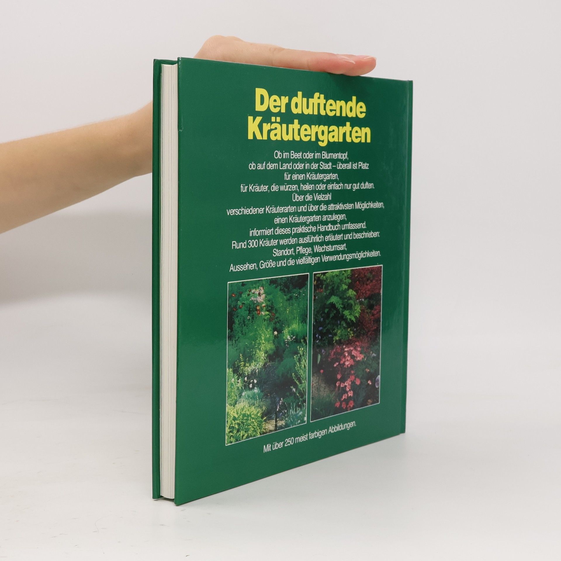 Sarah Garland Der duftende Kräutergarten