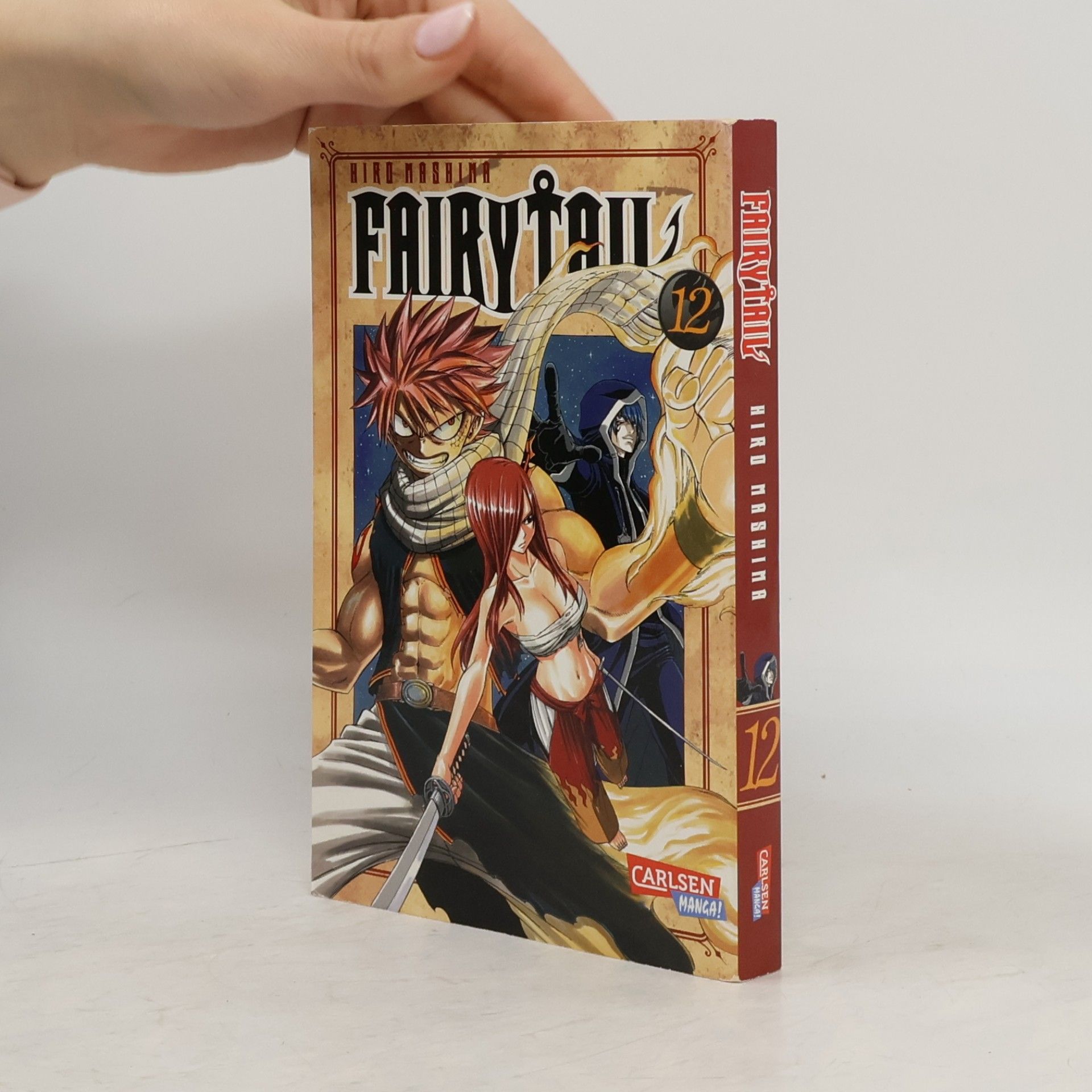 Hiro M. Fairy Tail Volume 12