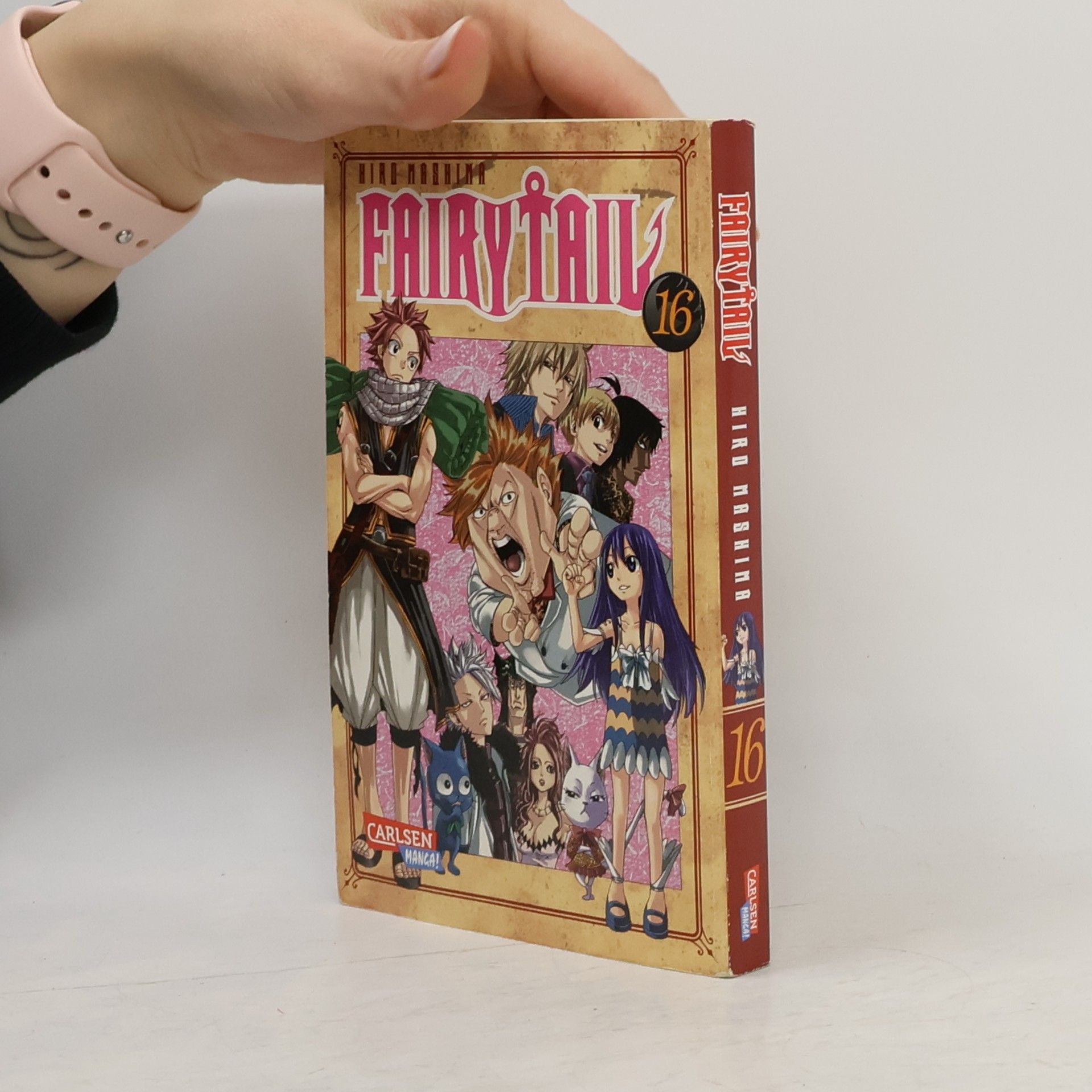 Hiro M. Fairy Tail Volume 16