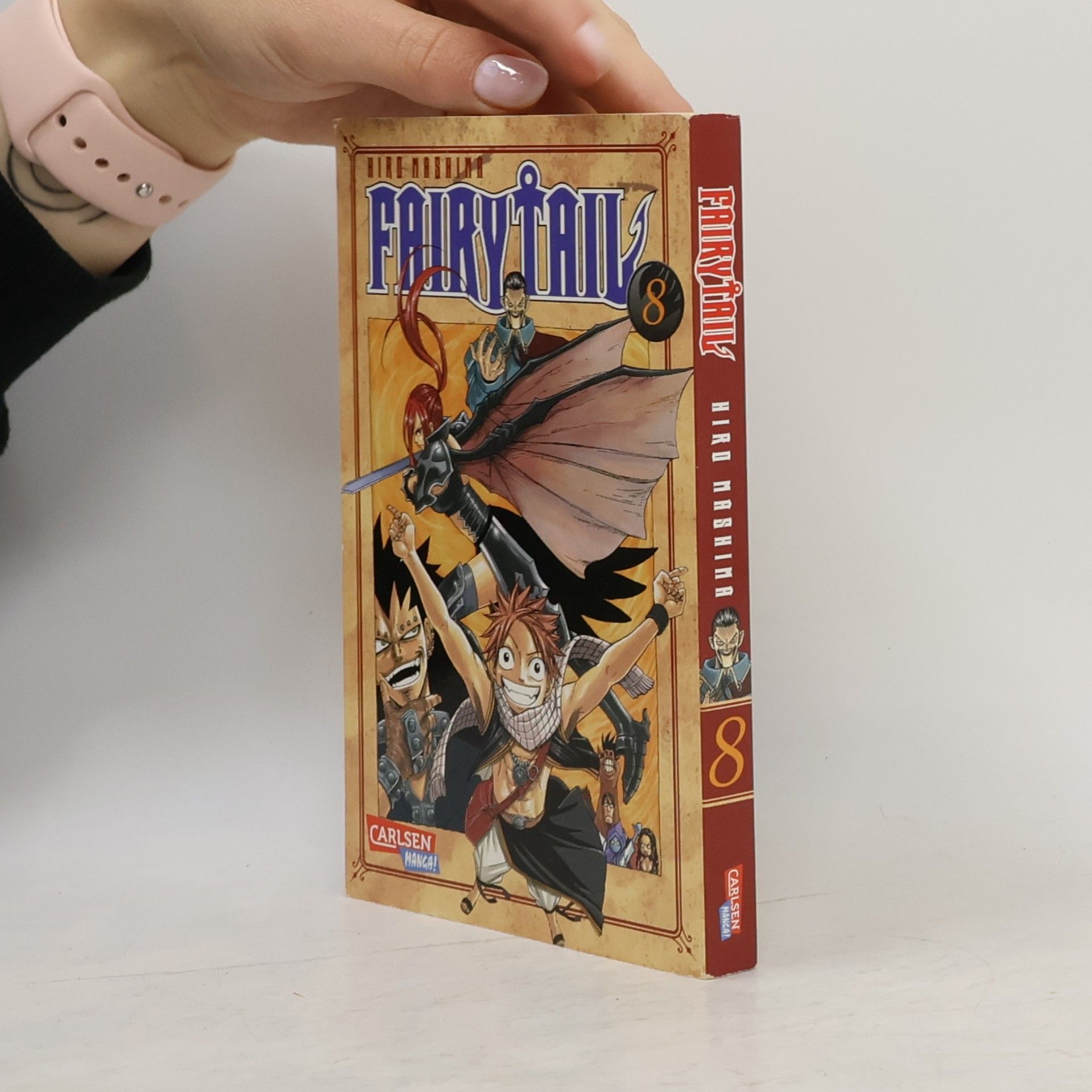 Fairy Tail 8