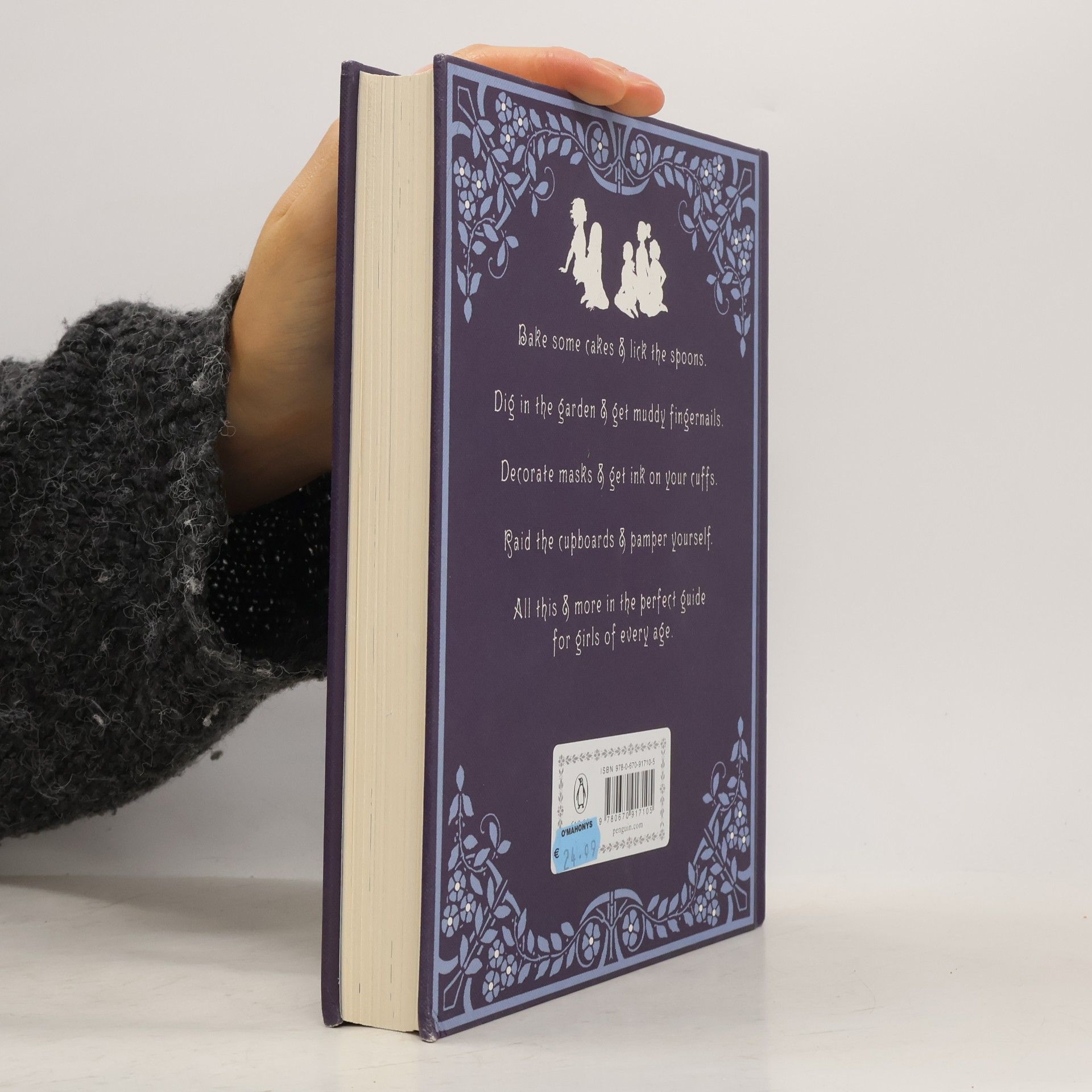 Rosemary Davidson The Great Big Glorious Book for Girls