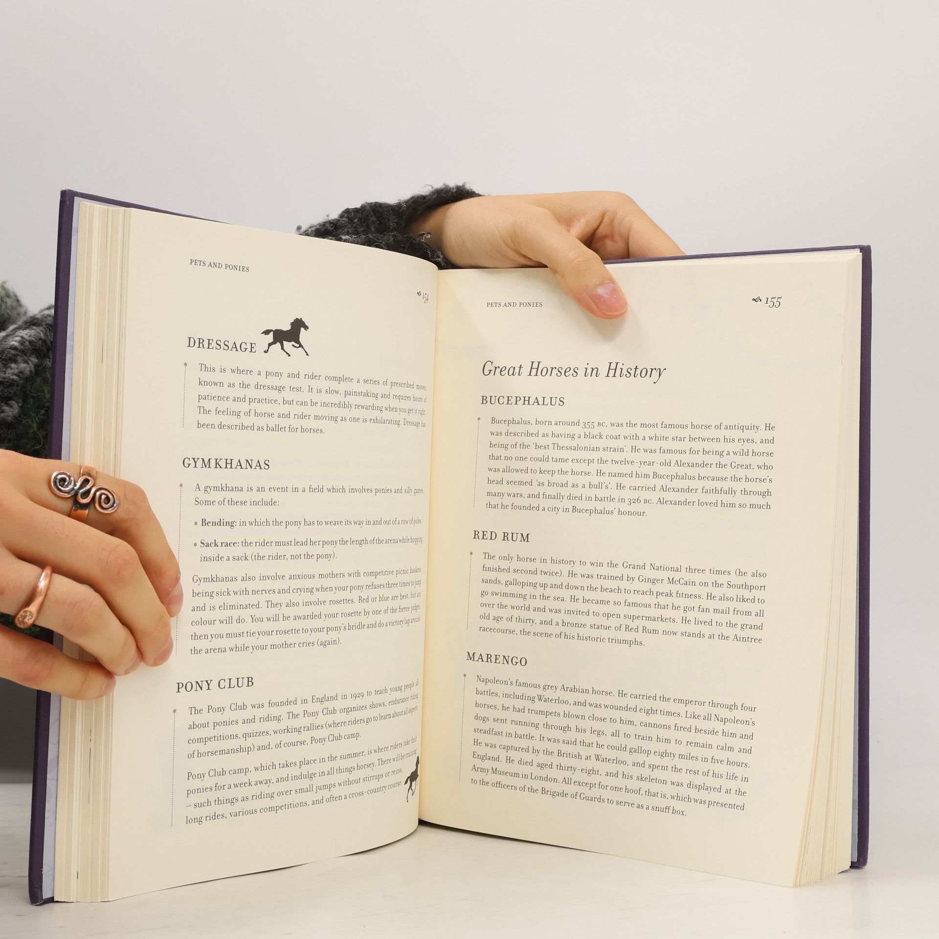Rosemary Davidson The Great Big Glorious Book for Girls