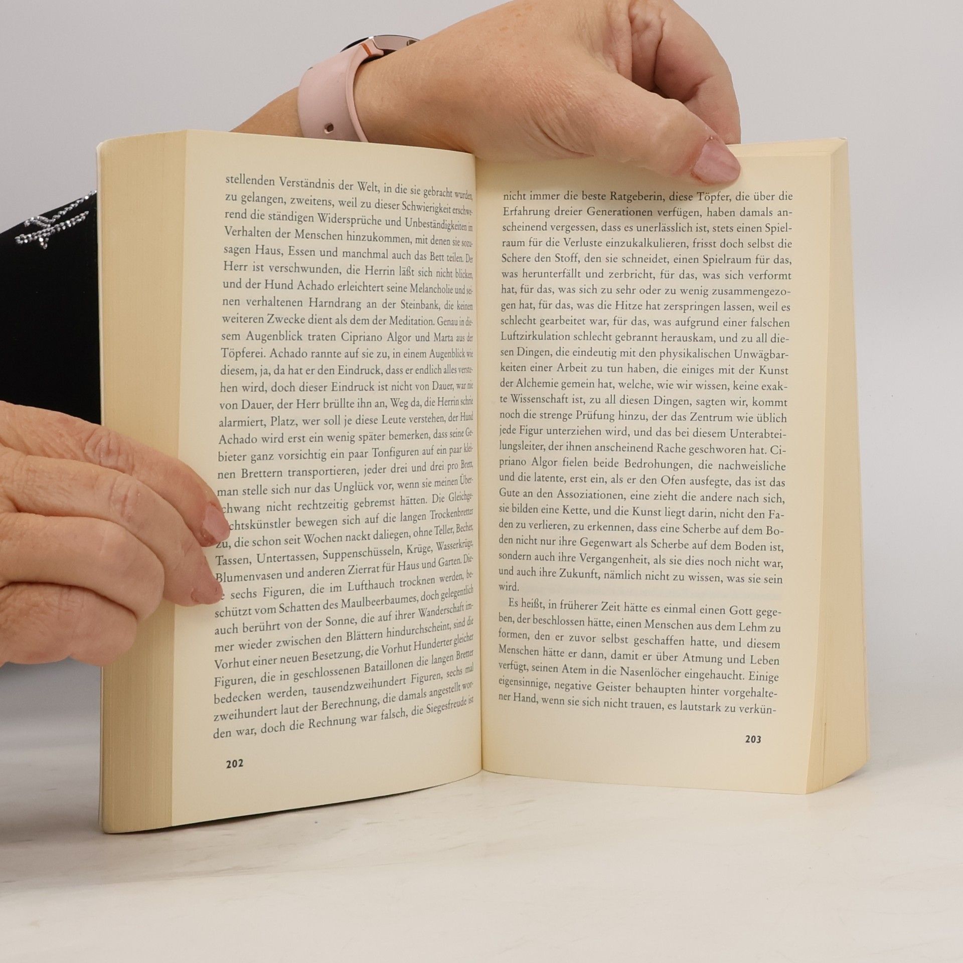 José Saramago Das Zentrum