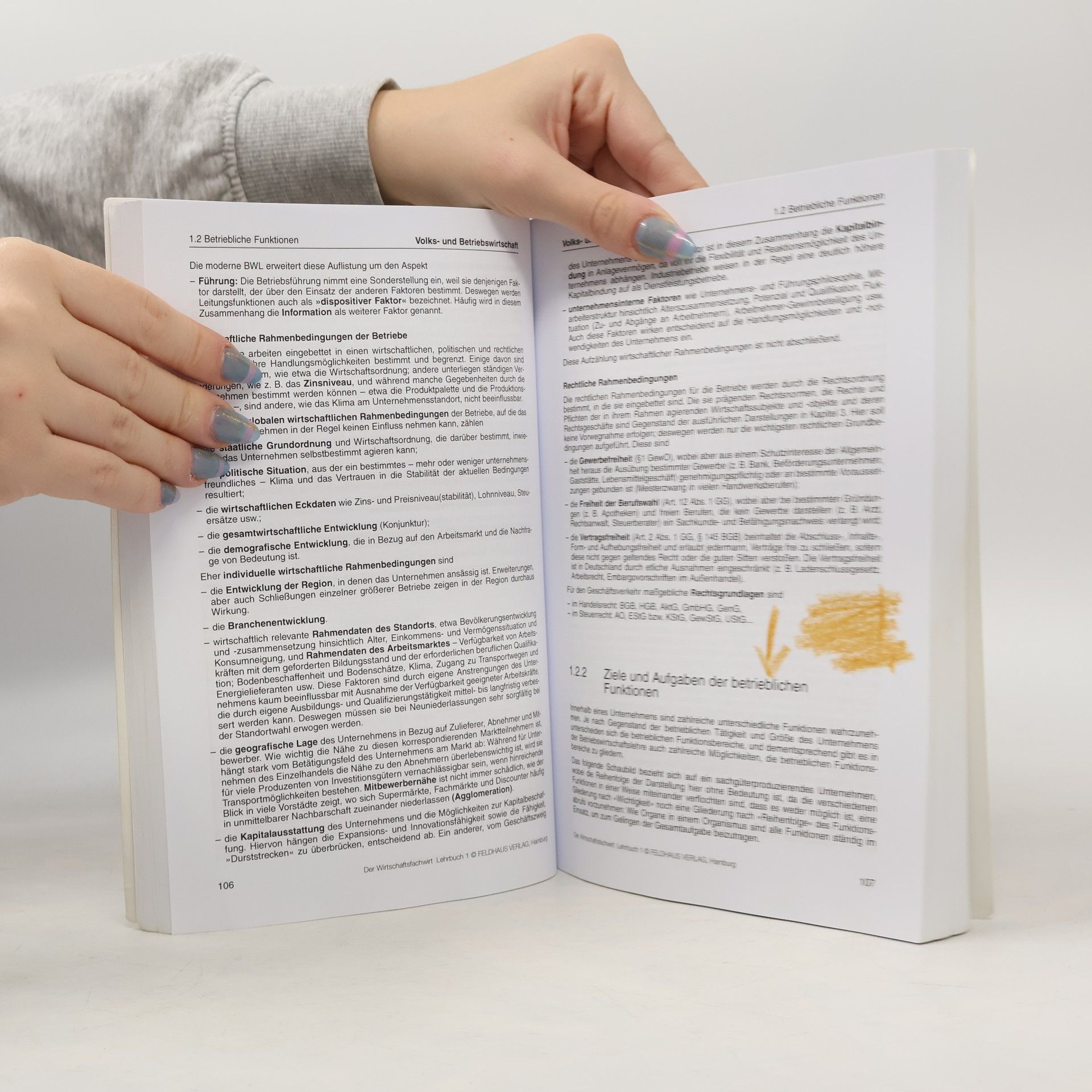 Elke H Schmidt Der Wirtschaftsfachwirt / Lehrbuch 1