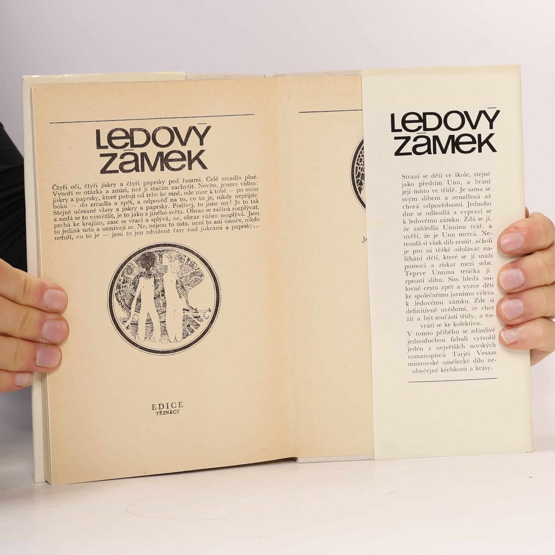 Tarjei Vesaas Ledový zámek