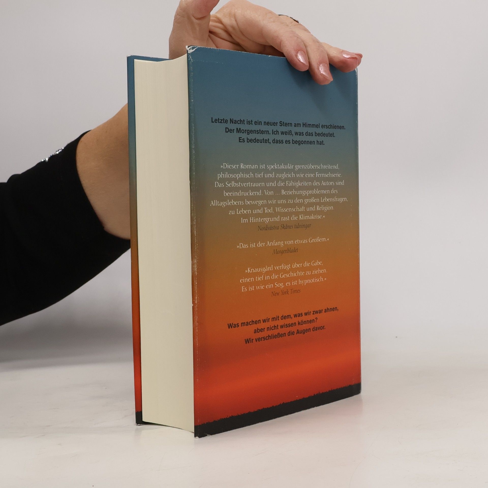 Karl Ove Knausgaard Der Morgenstern