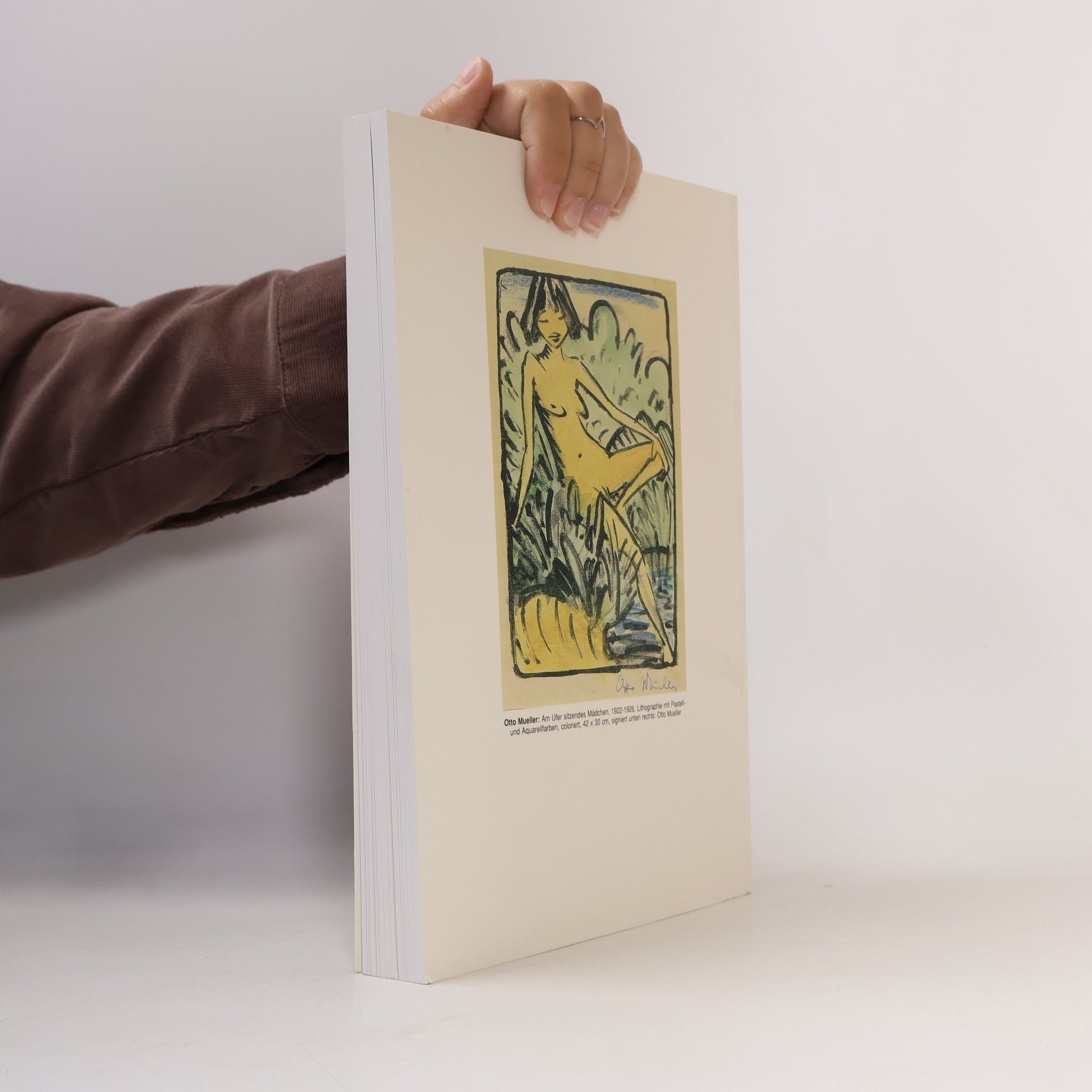 Henri Nannen Die Meisterwerke der Sammlung Henri Nannen