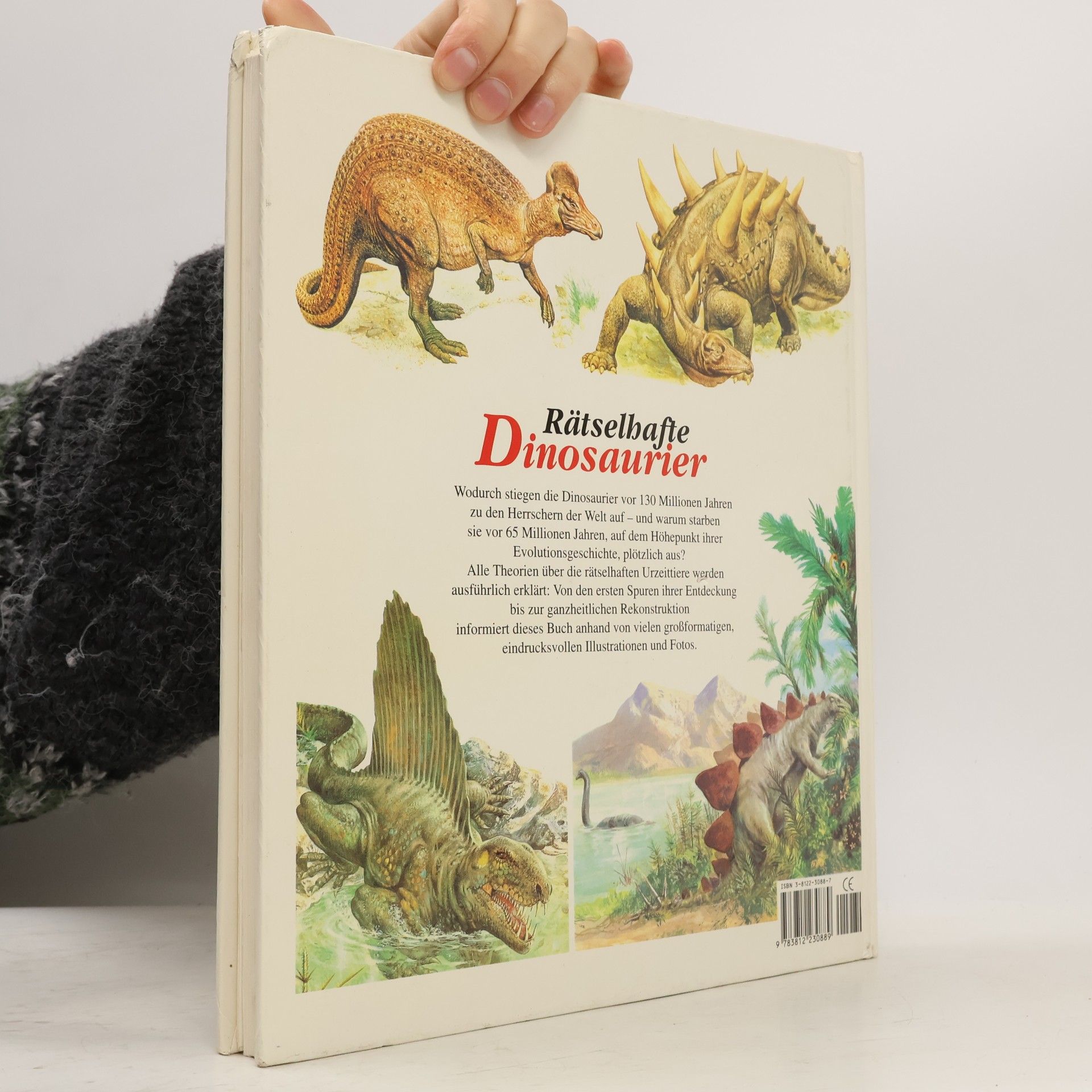 Roberto Zorzin Rätselhafte Dinosaurier