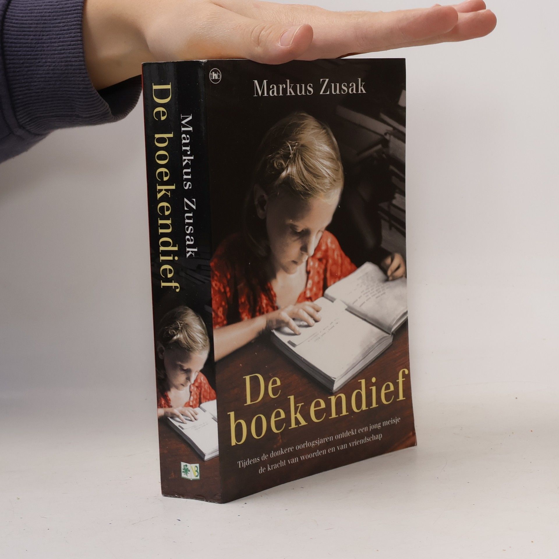 Annemarie Lodewijk De boekendief