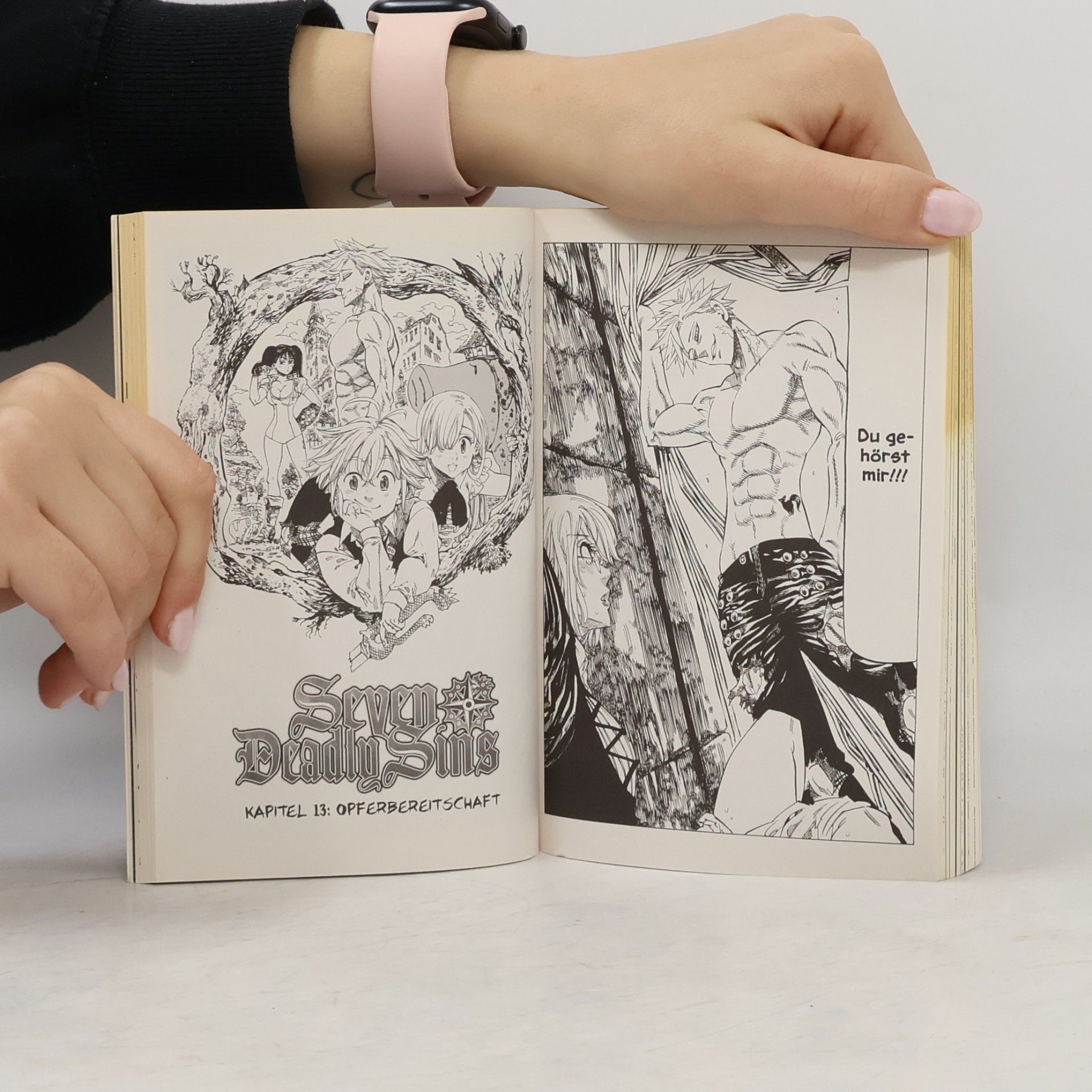 Nakaba Suzuki Seven Deadly Sins 2