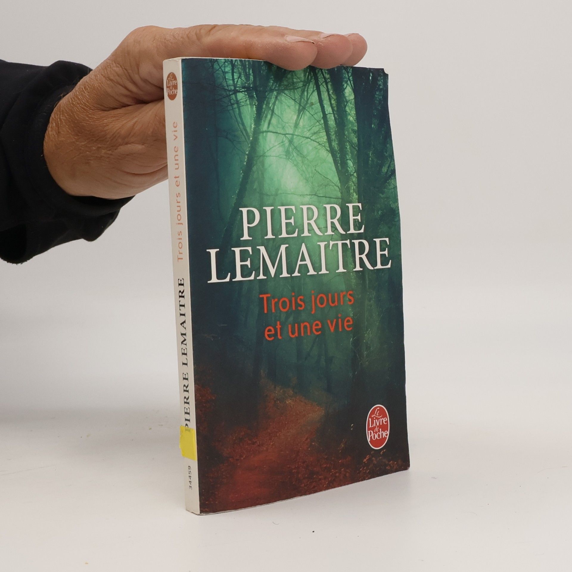 Pierre Lemaitre Trois jours et une vie