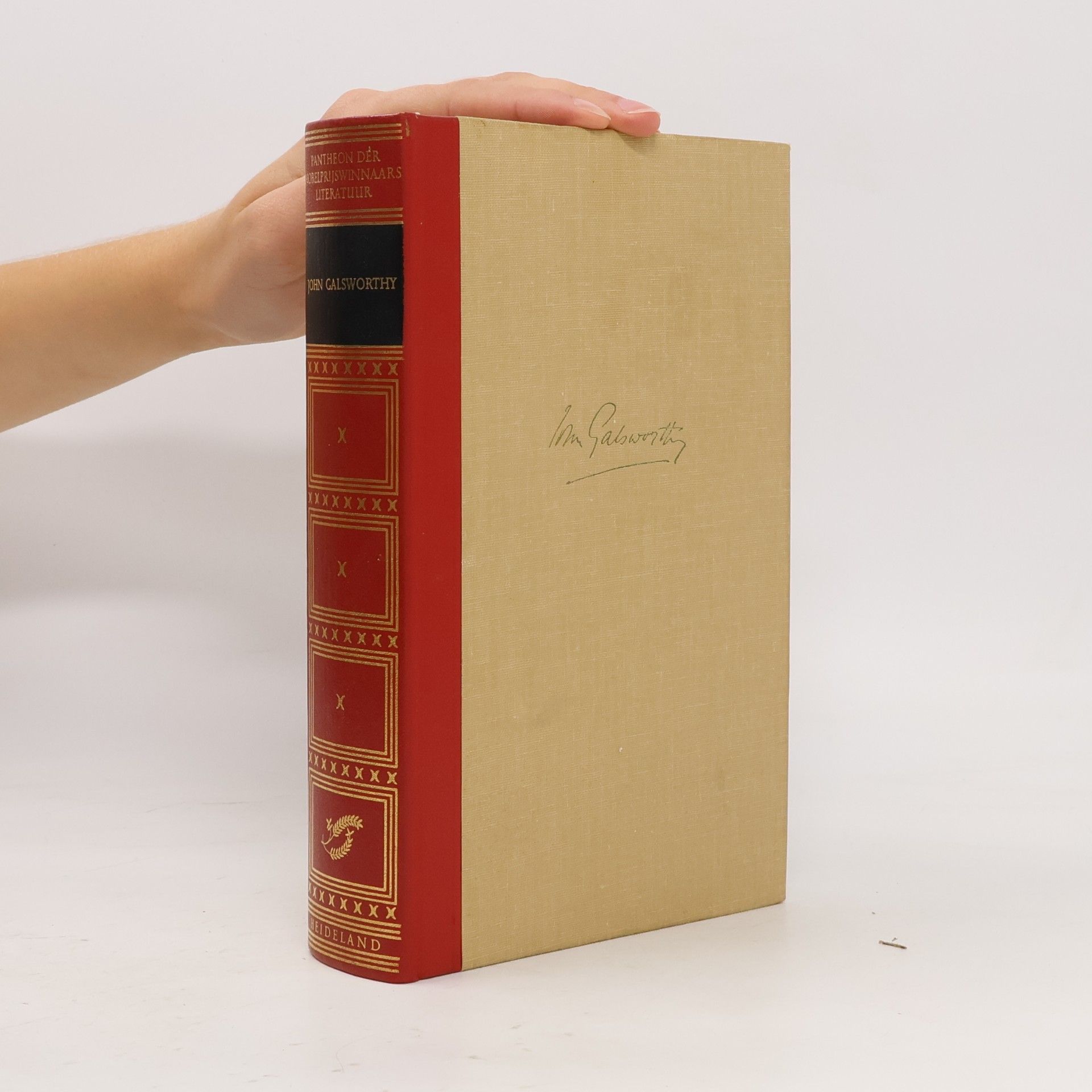 John Galsworthy MIster Forsytes Verlossing