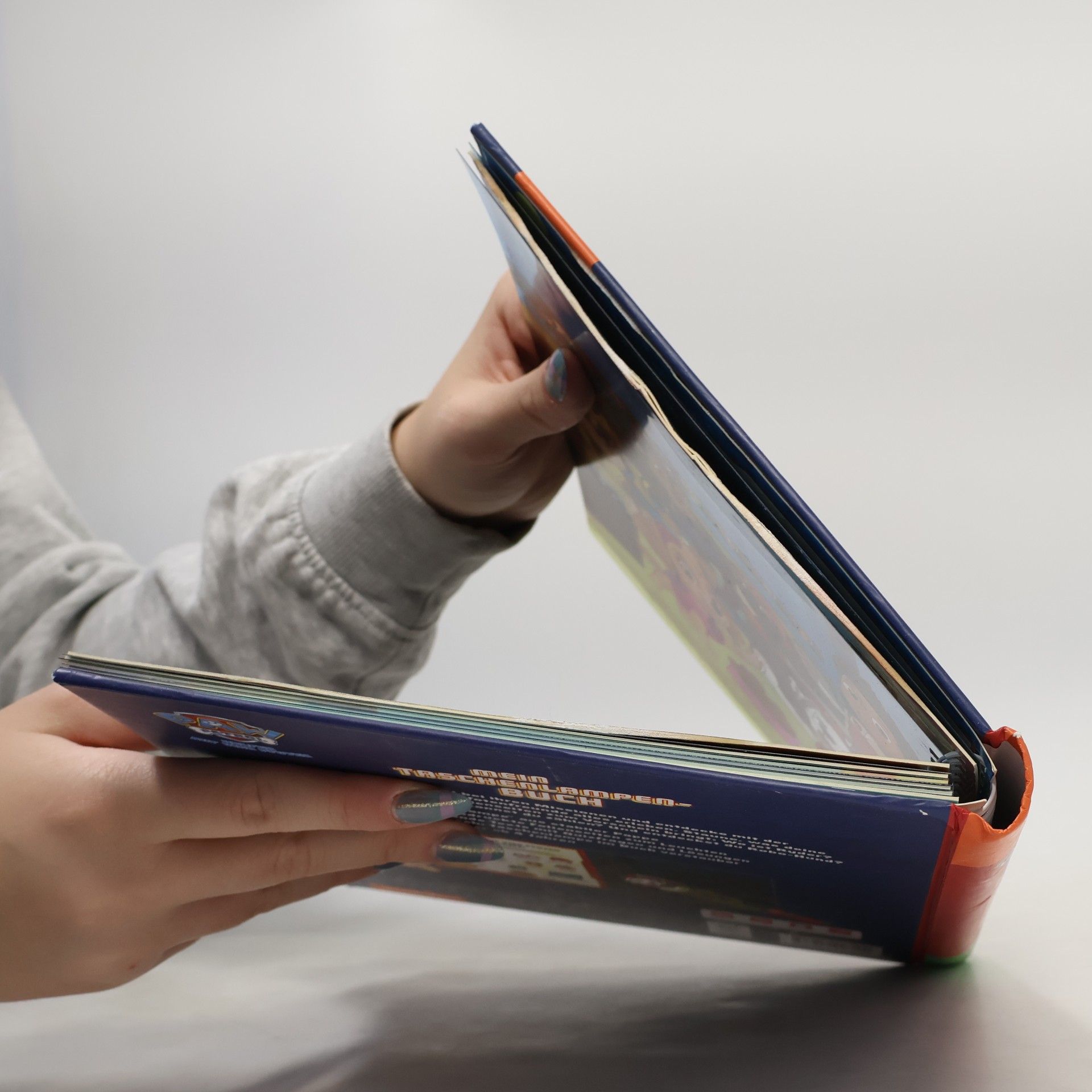 Autores varios Paw Patrol - Mein Taschenlampenbuch