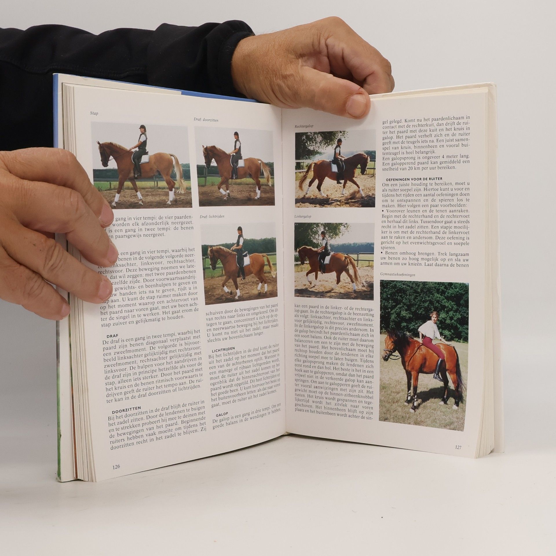 Josée Hermsen Geïllustreerde Paarden encyclopedie
