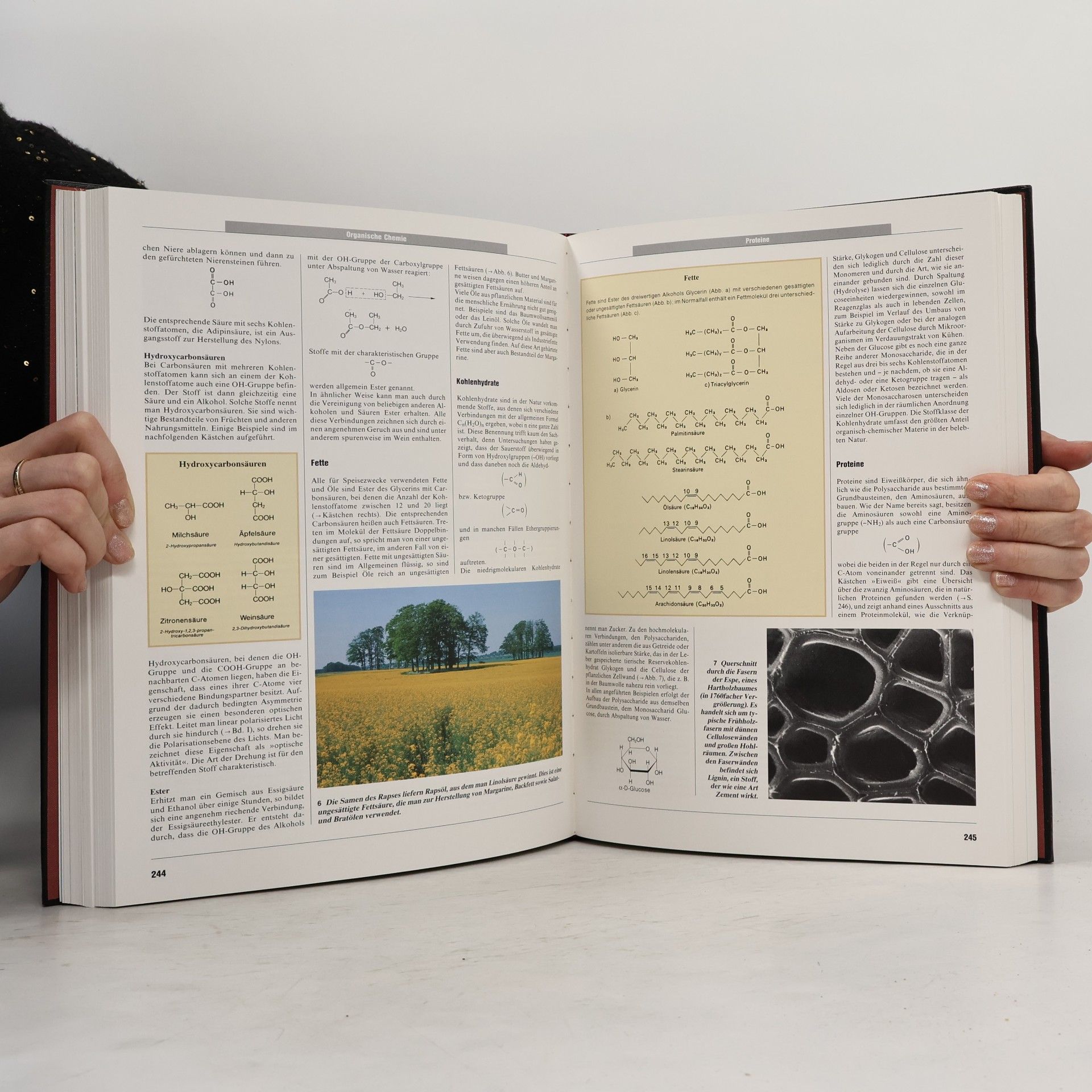 Autorenkollektiv Enzyklopädische Bibliothek. Naturwissenschaften unD Technik. Band 2
