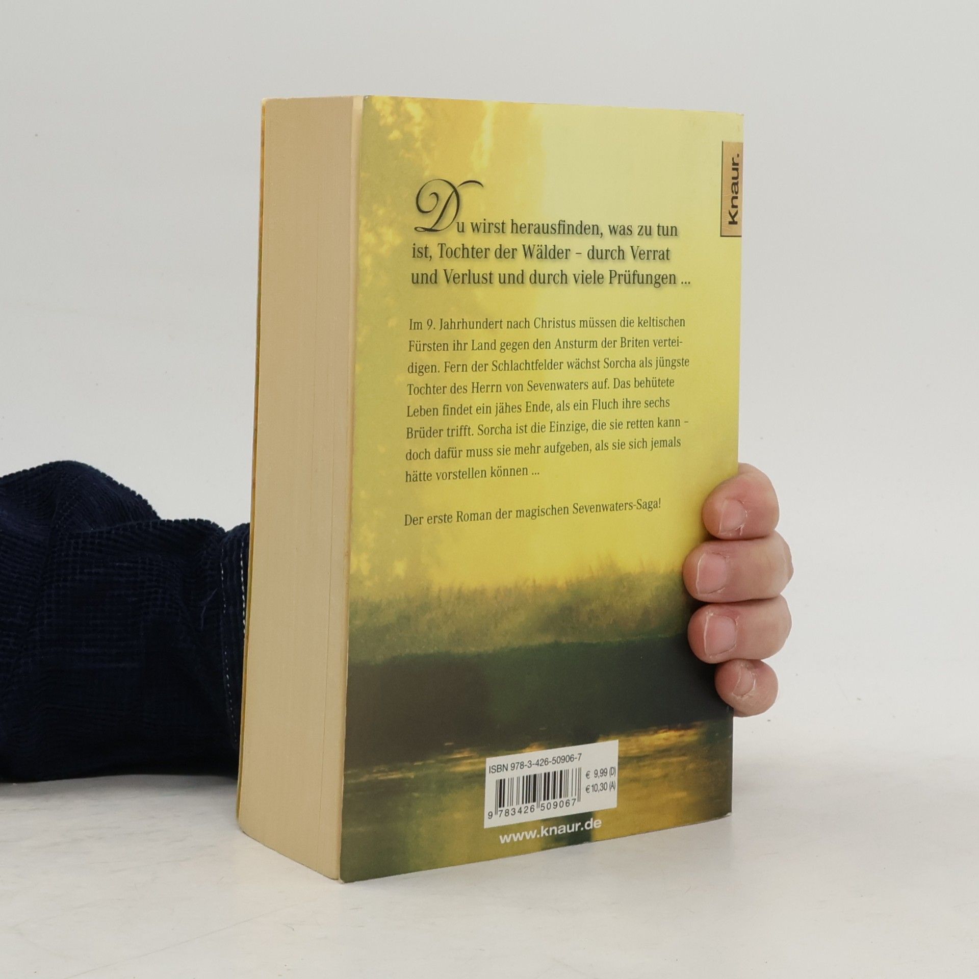 Juliet Marillier Die Tochter der Wälder