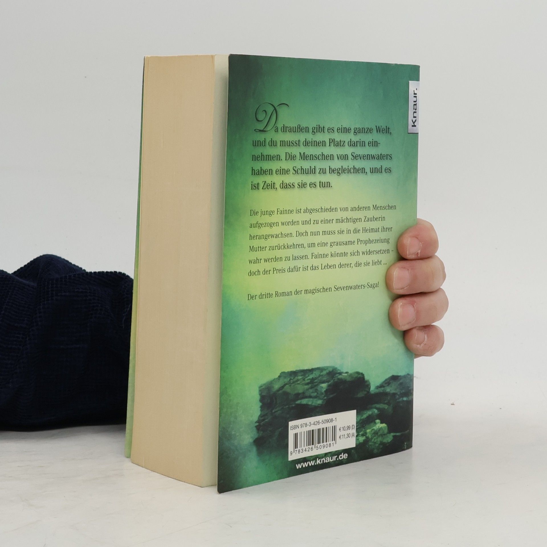 Juliet Marillier Das Kind der Stürme