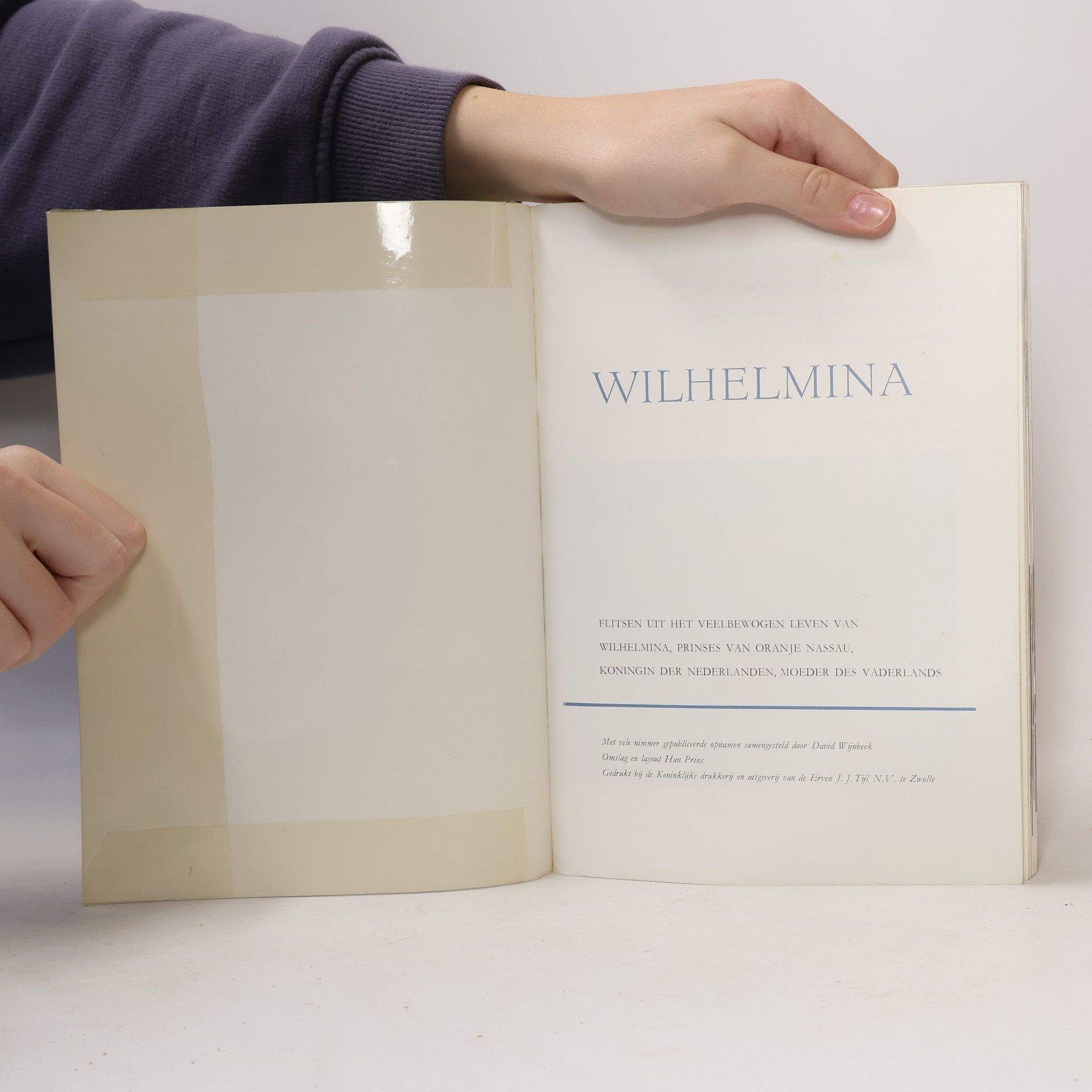 David Wijnbeek Wilhelmina