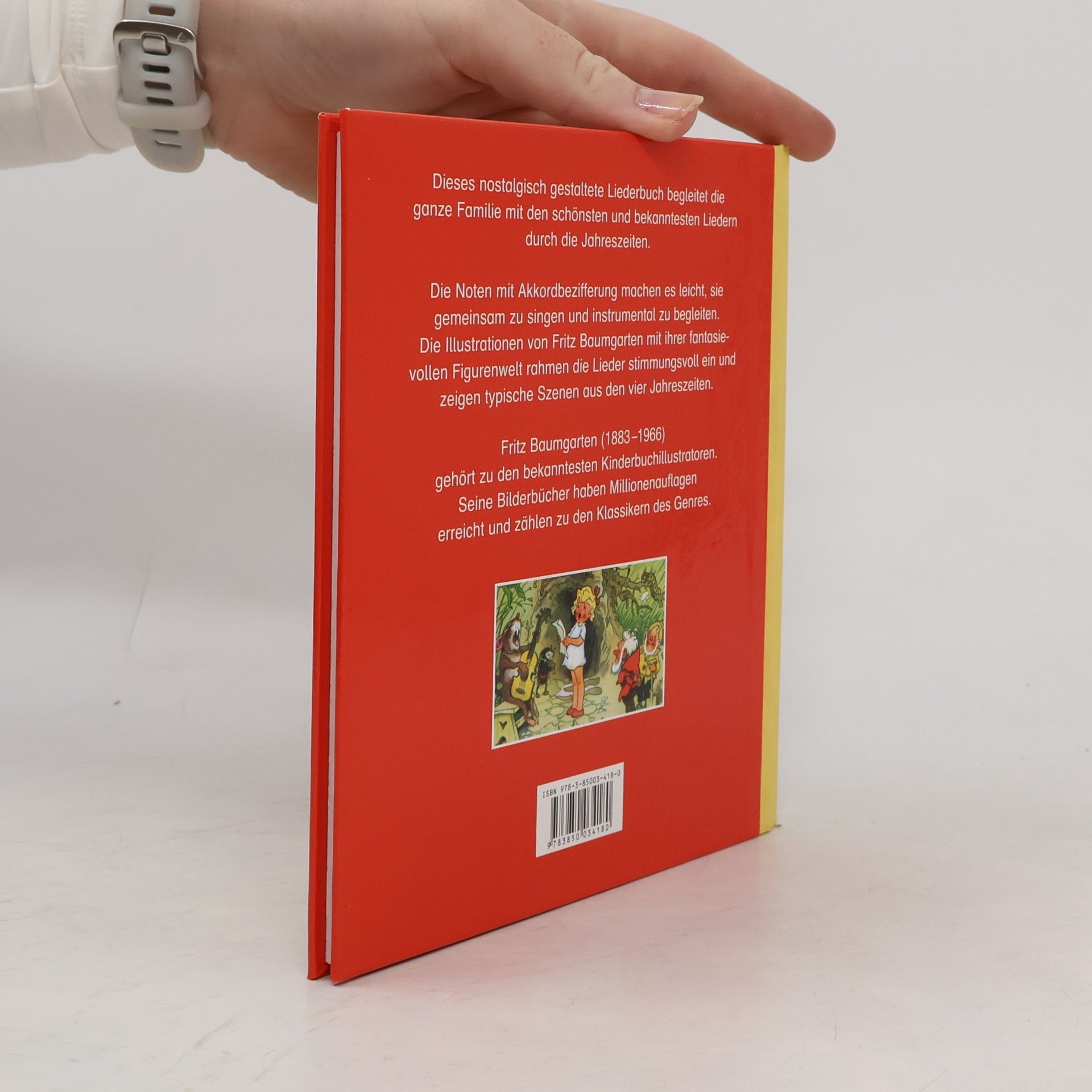 Kolektív autorov Meine schönsten Kinderlieder