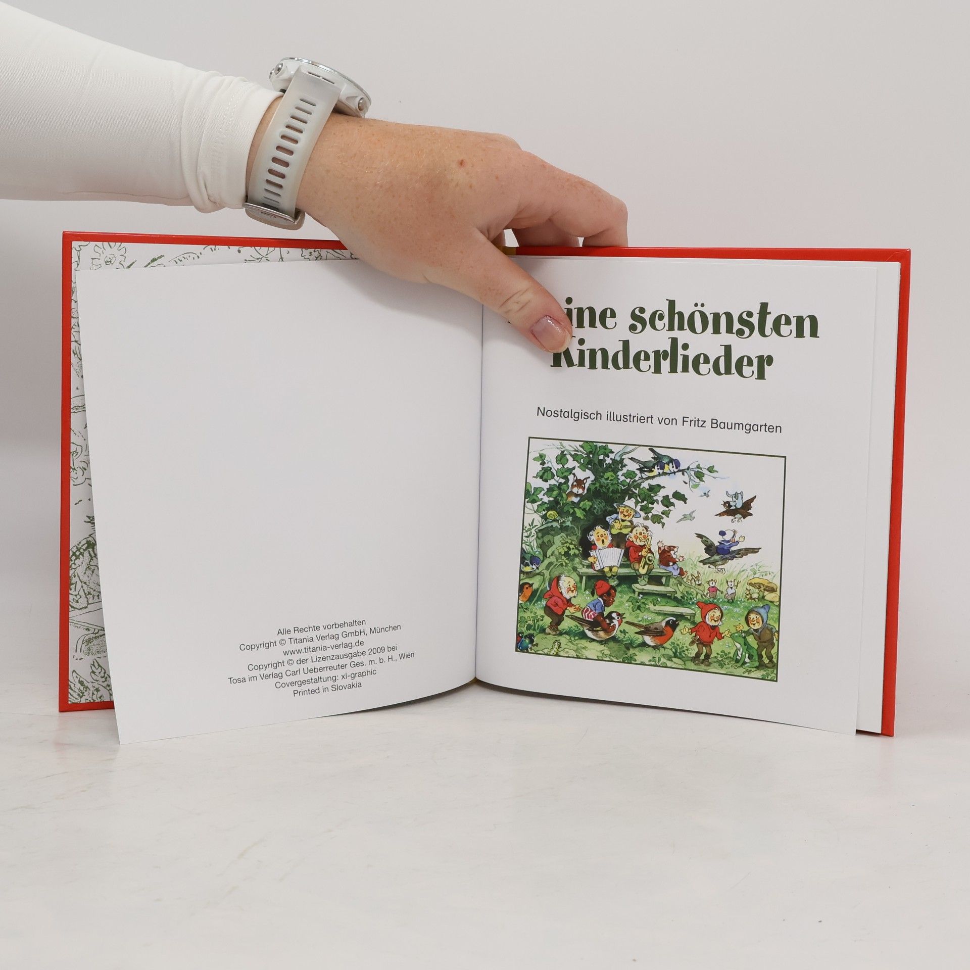 Kolektív autorov Meine schönsten Kinderlieder