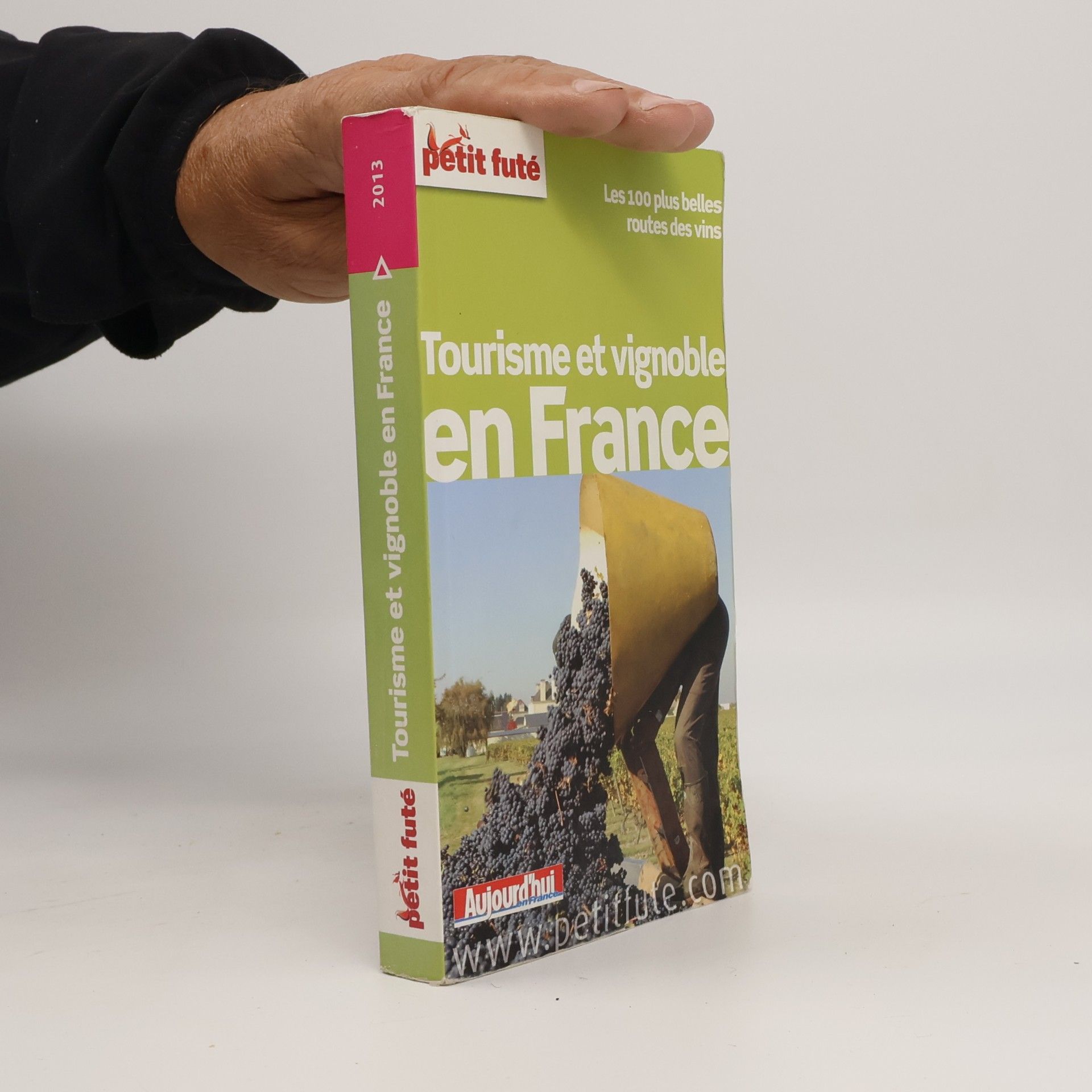 Dominique Auzias Petit Futé - 2013: Tourisme et vignoble en France